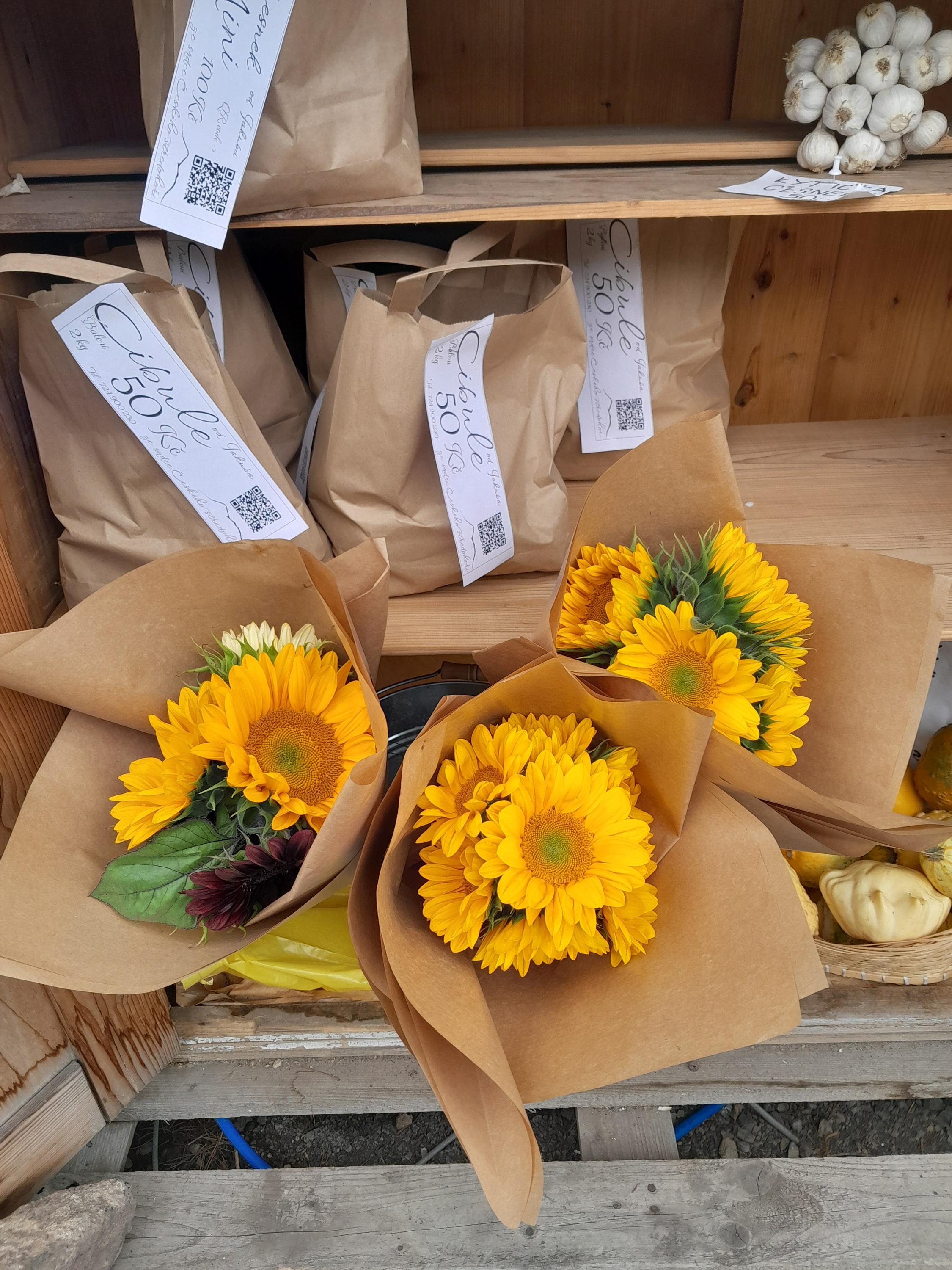 Almara Od.Jakuba foto 4