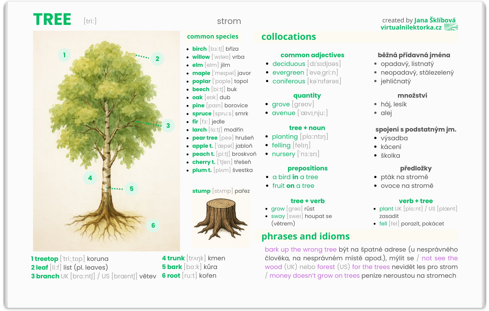 Jana Šklíbová - virtuální lektorka angličtiny foto 2