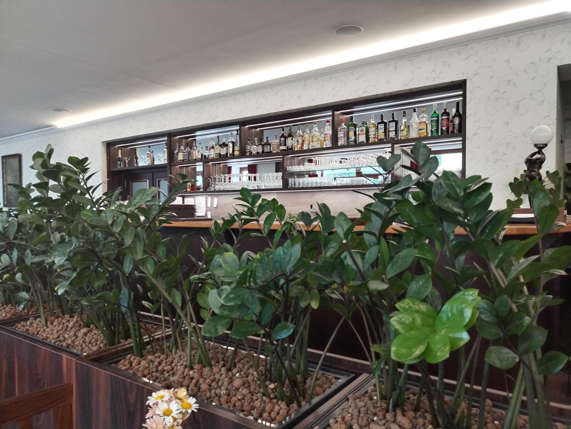 Hotel Sonáta foto 4