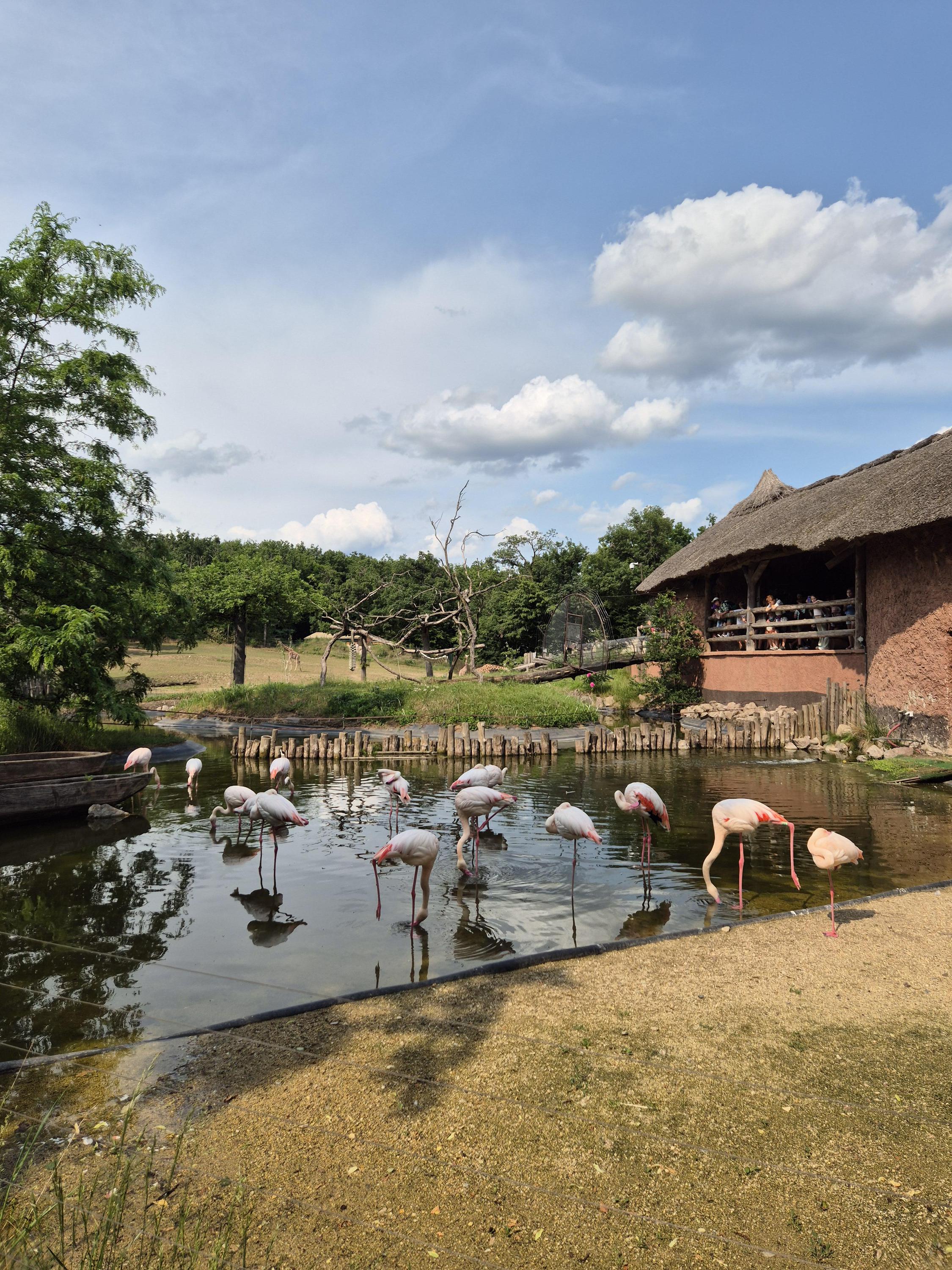 Zoo Brno a stanice zájmových činností foto 5