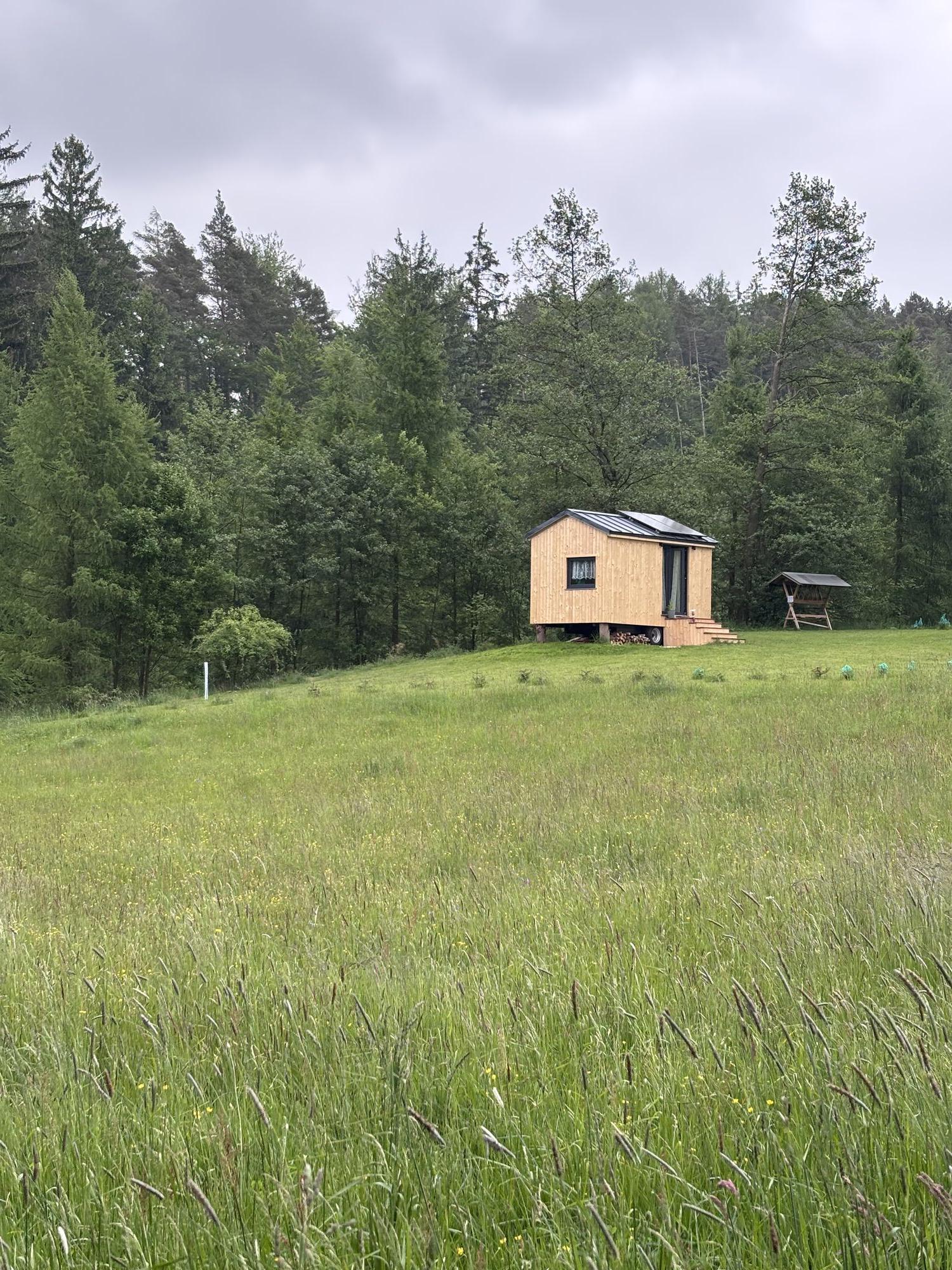 Lesní pohádka foto 2