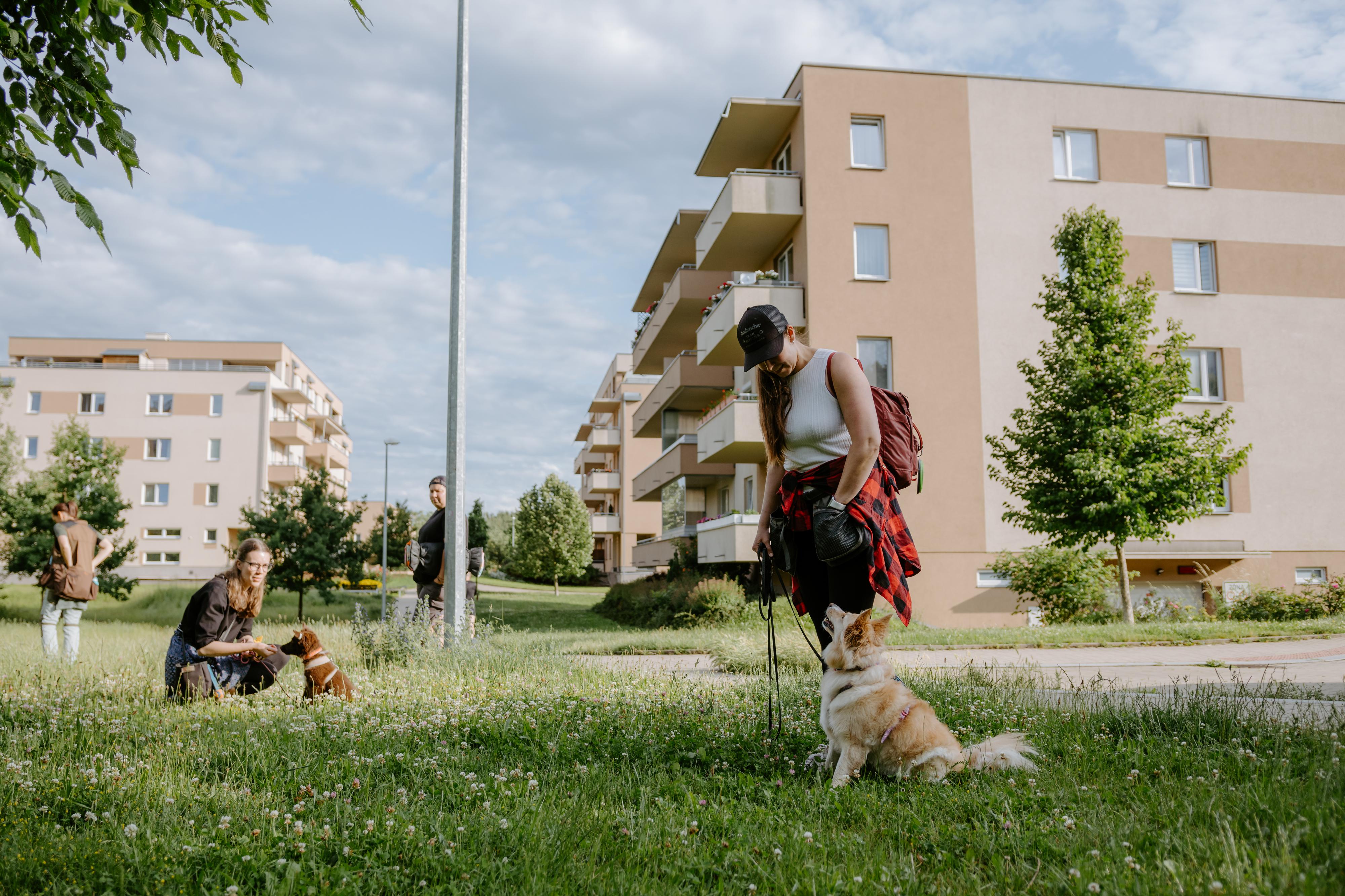 ASURIA - etický trénink psů foto 4