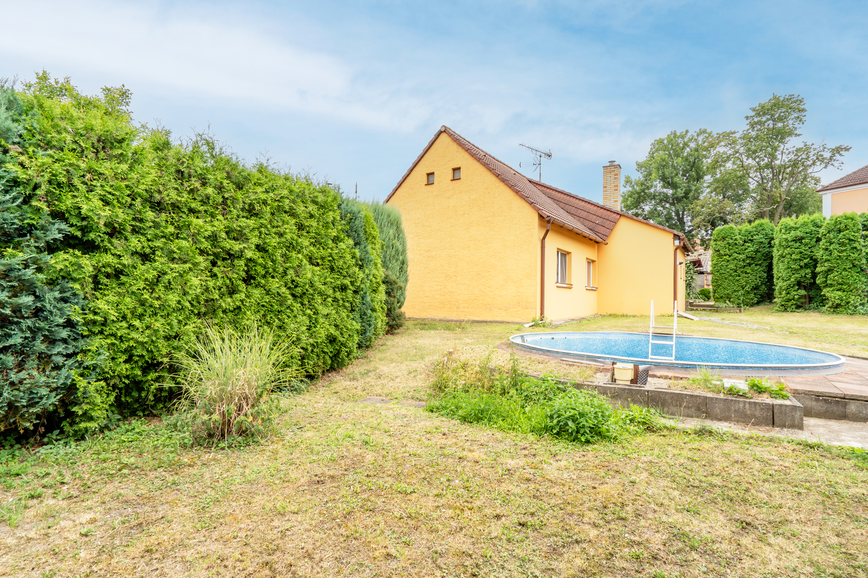 ZELENKOVÁ reality, partner Justo foto 5