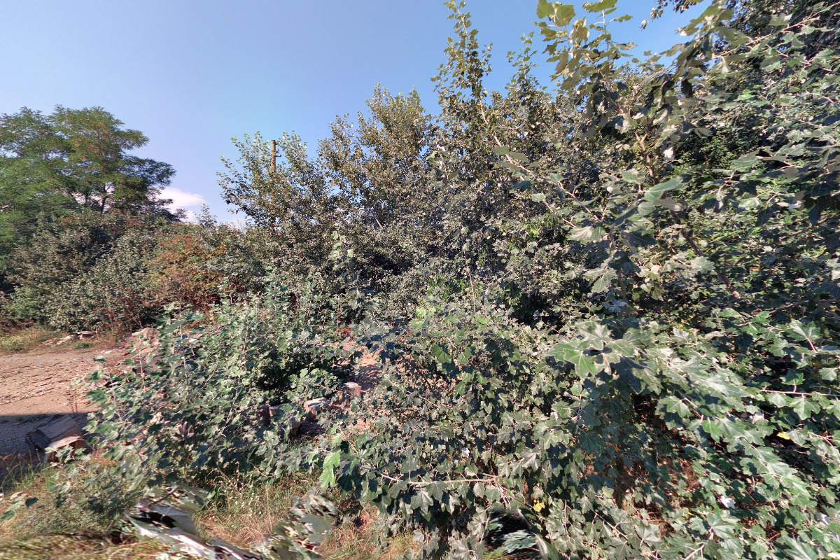 Náš domov Magnolie