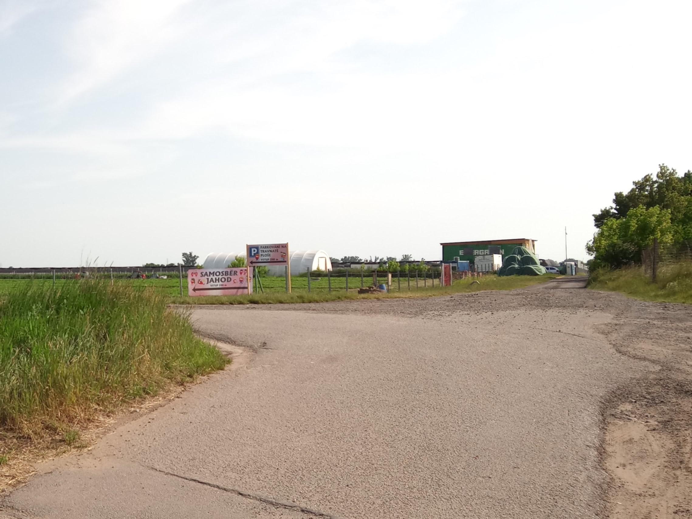 Jahody Velké Bílovice foto 2