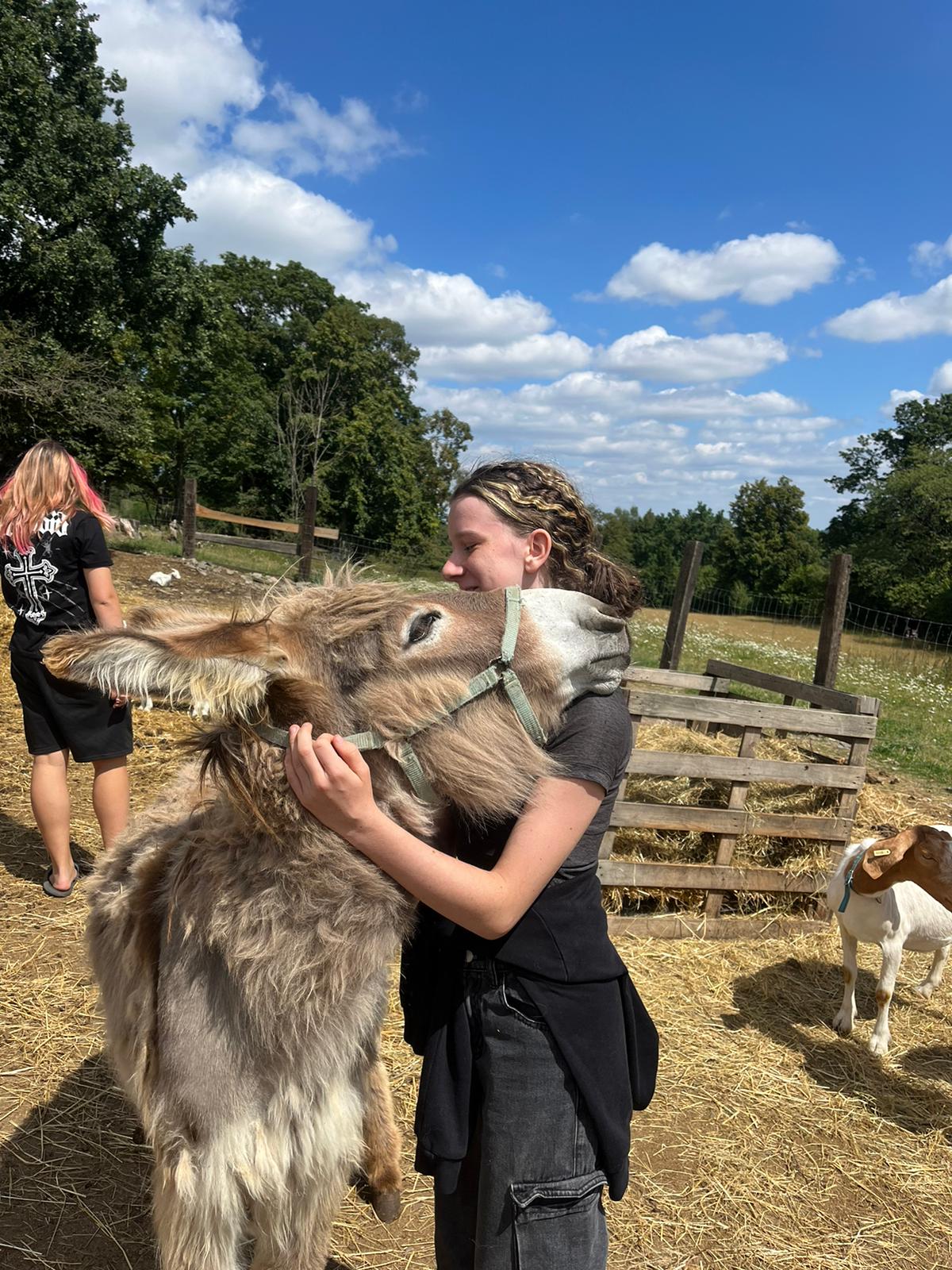 Ranč U Sovy - osada soví hnízdo foto 2