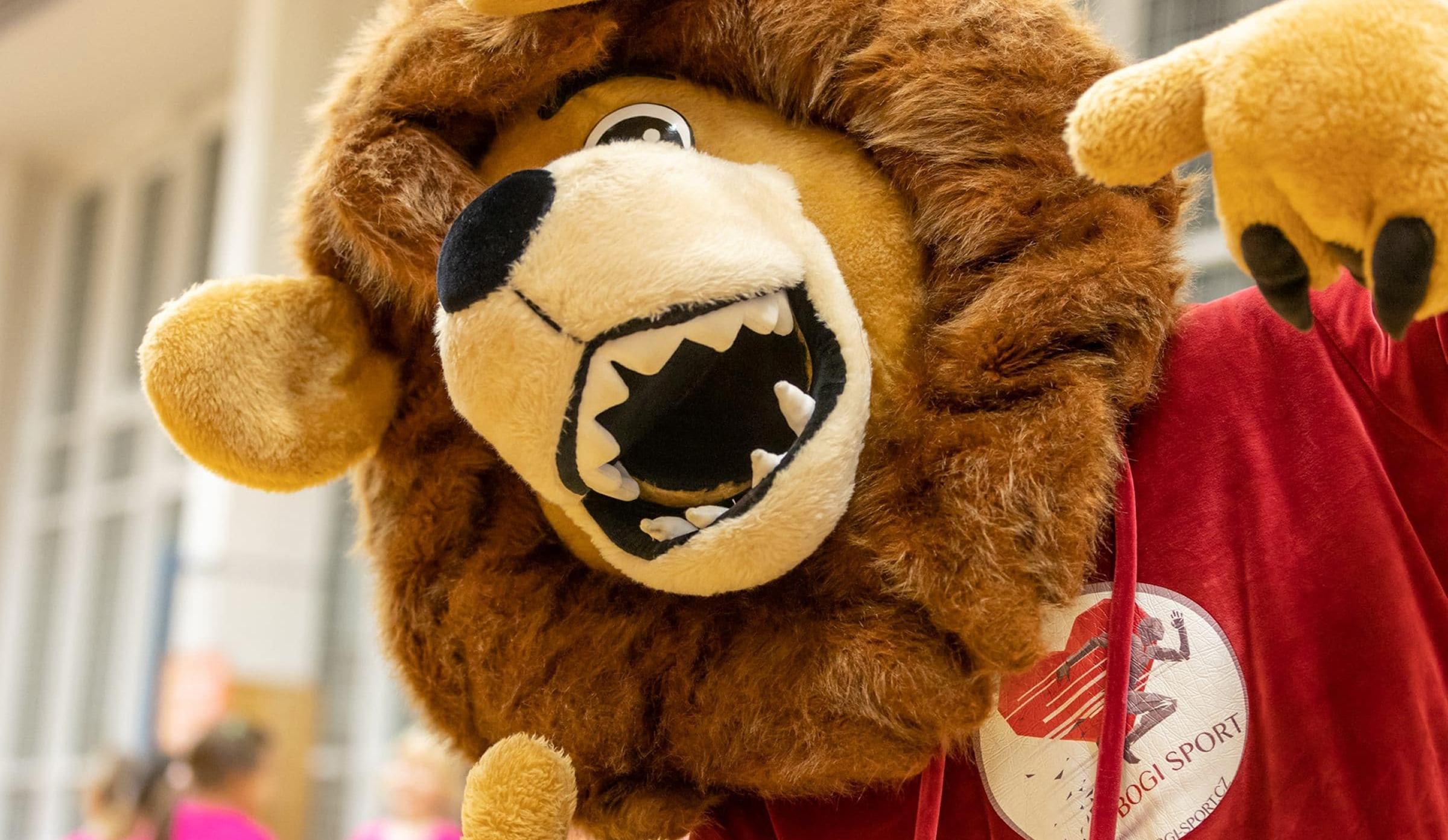 BOGI SPORT Ústí nad Labem klub, z.s. foto 1