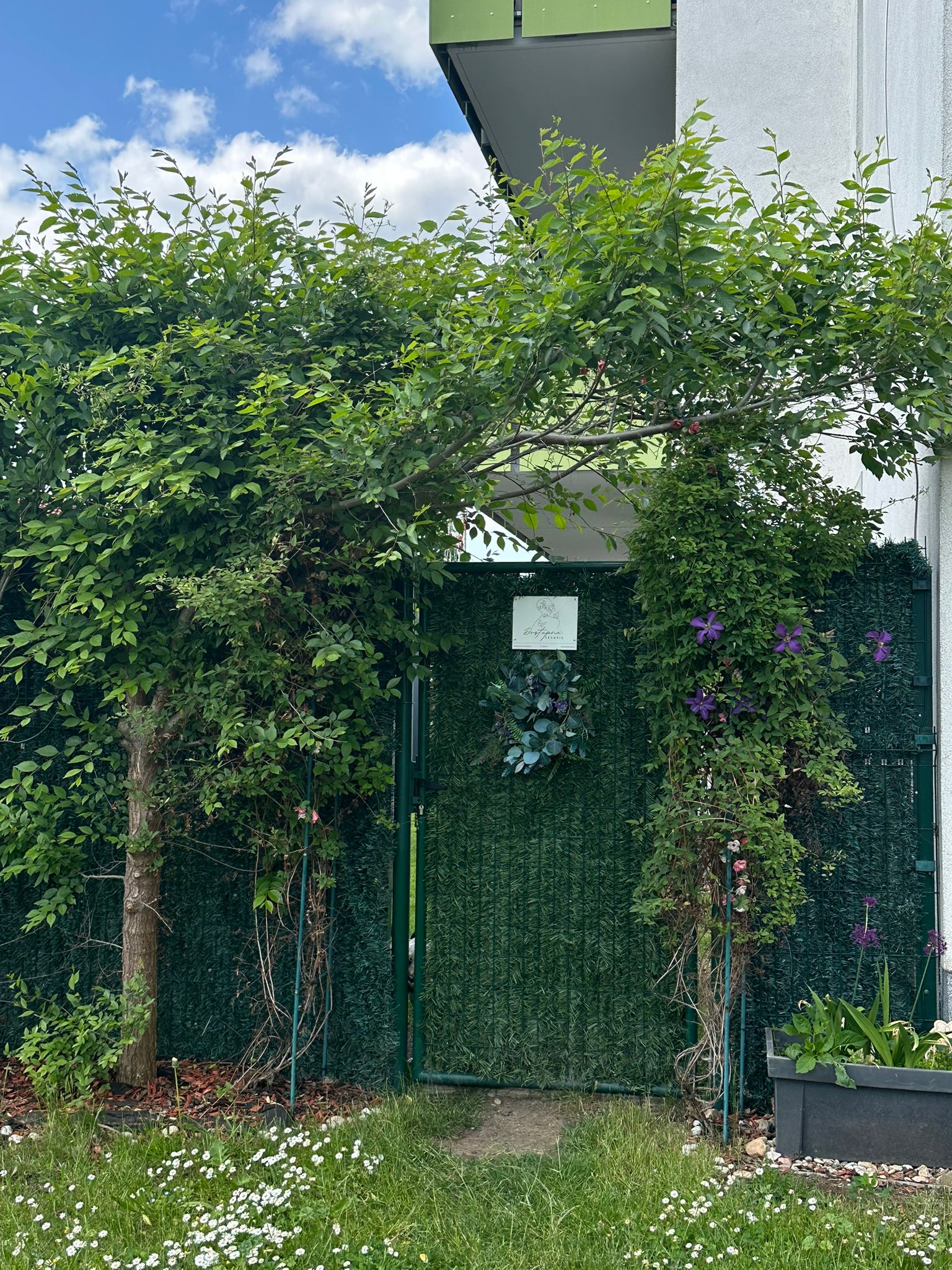 Dostupná terapie - Lucie Macourek foto 4