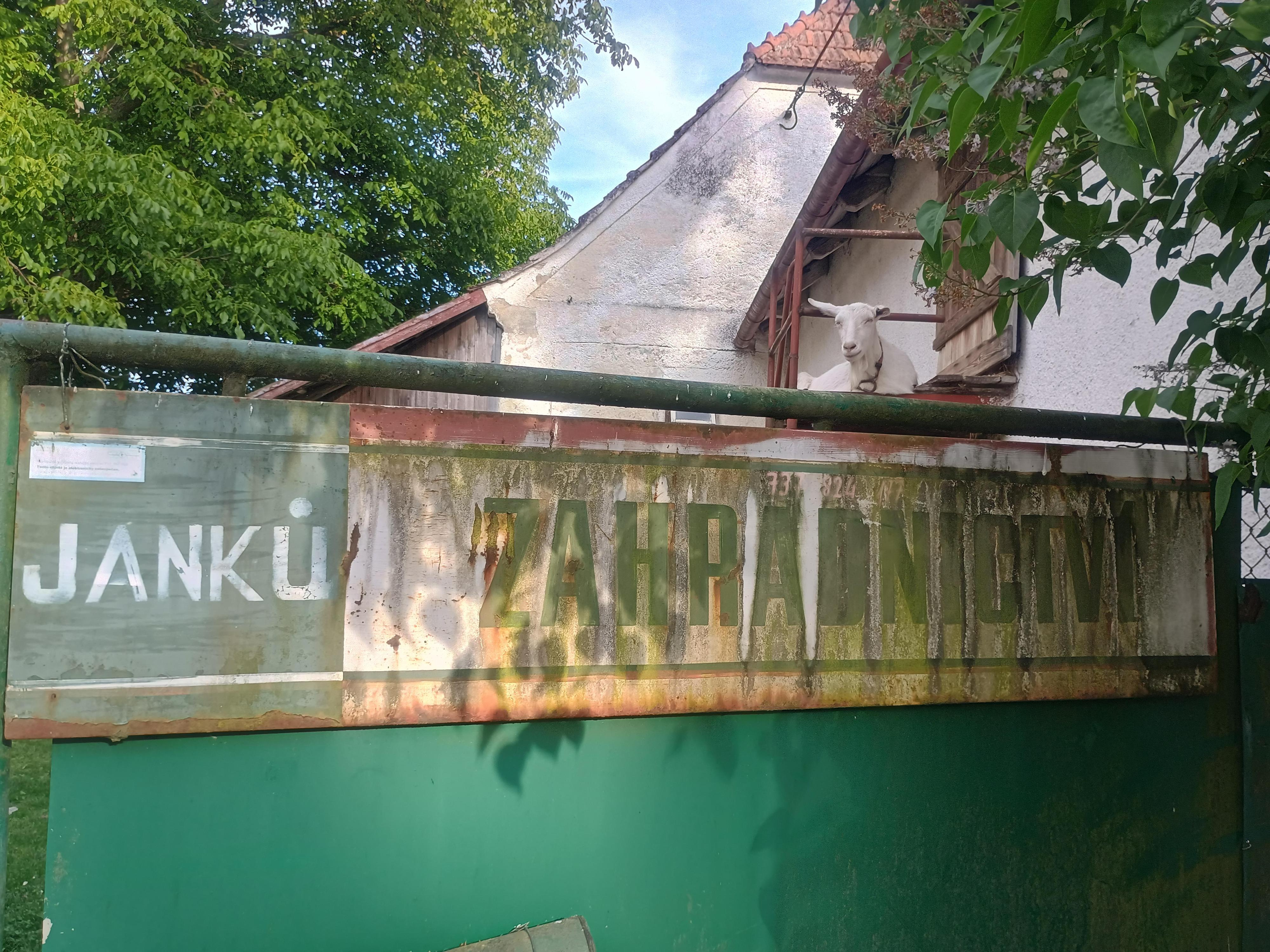 Zahradnictví Janků foto 2