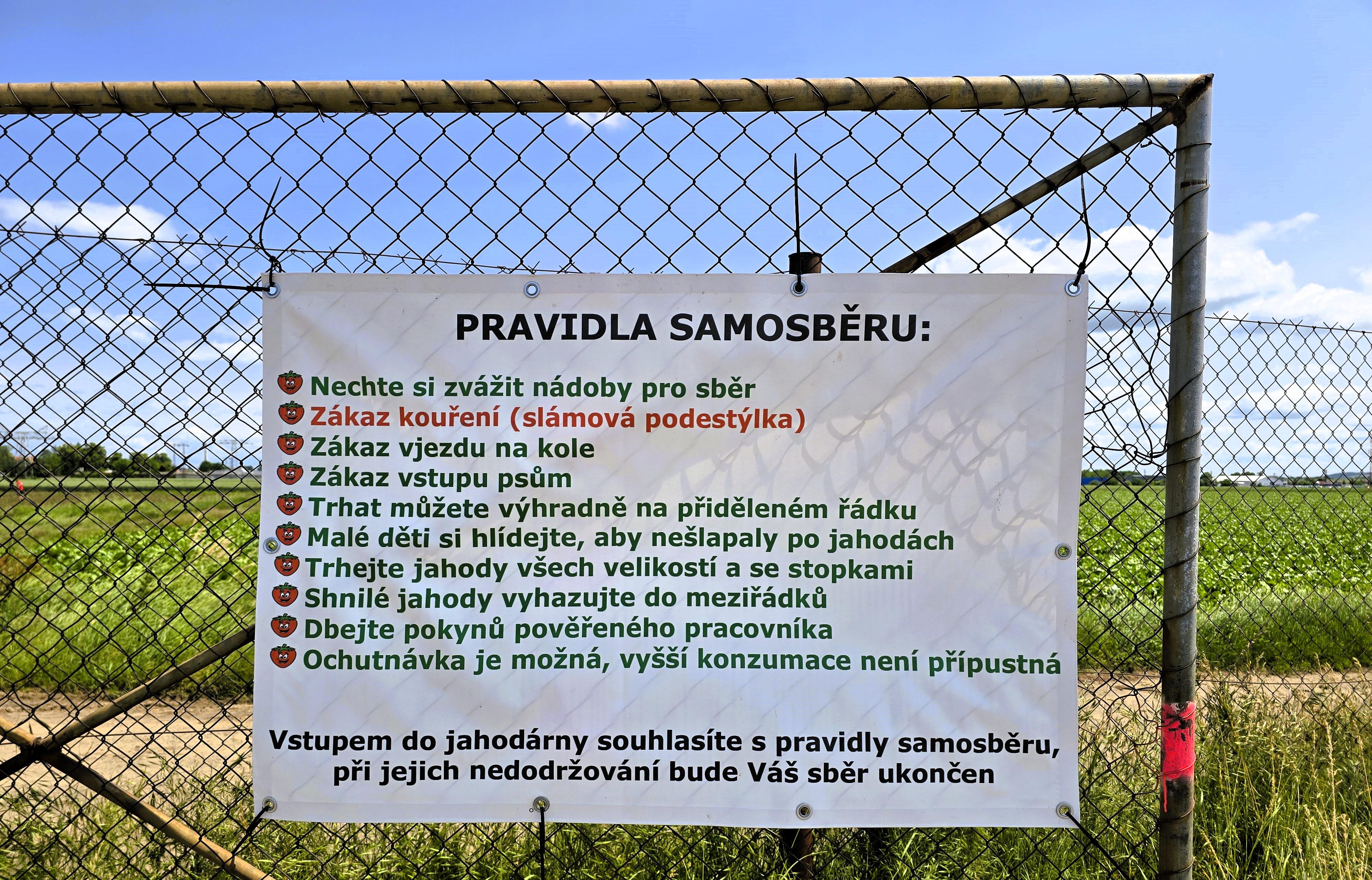 Jahodárna Prostějov foto 6