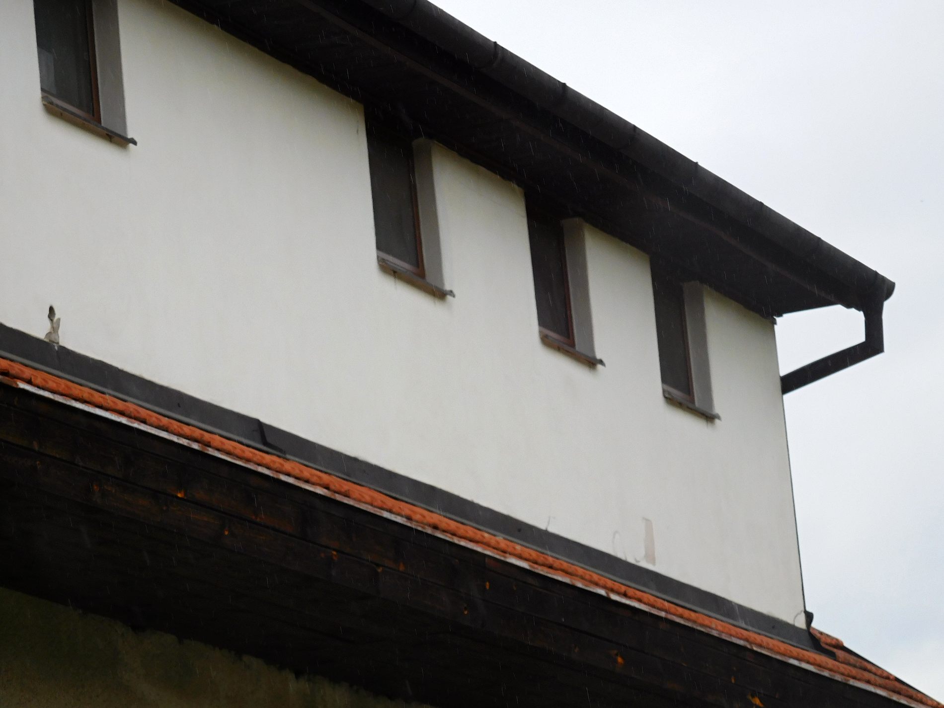 Ubytování Chudčice foto 6