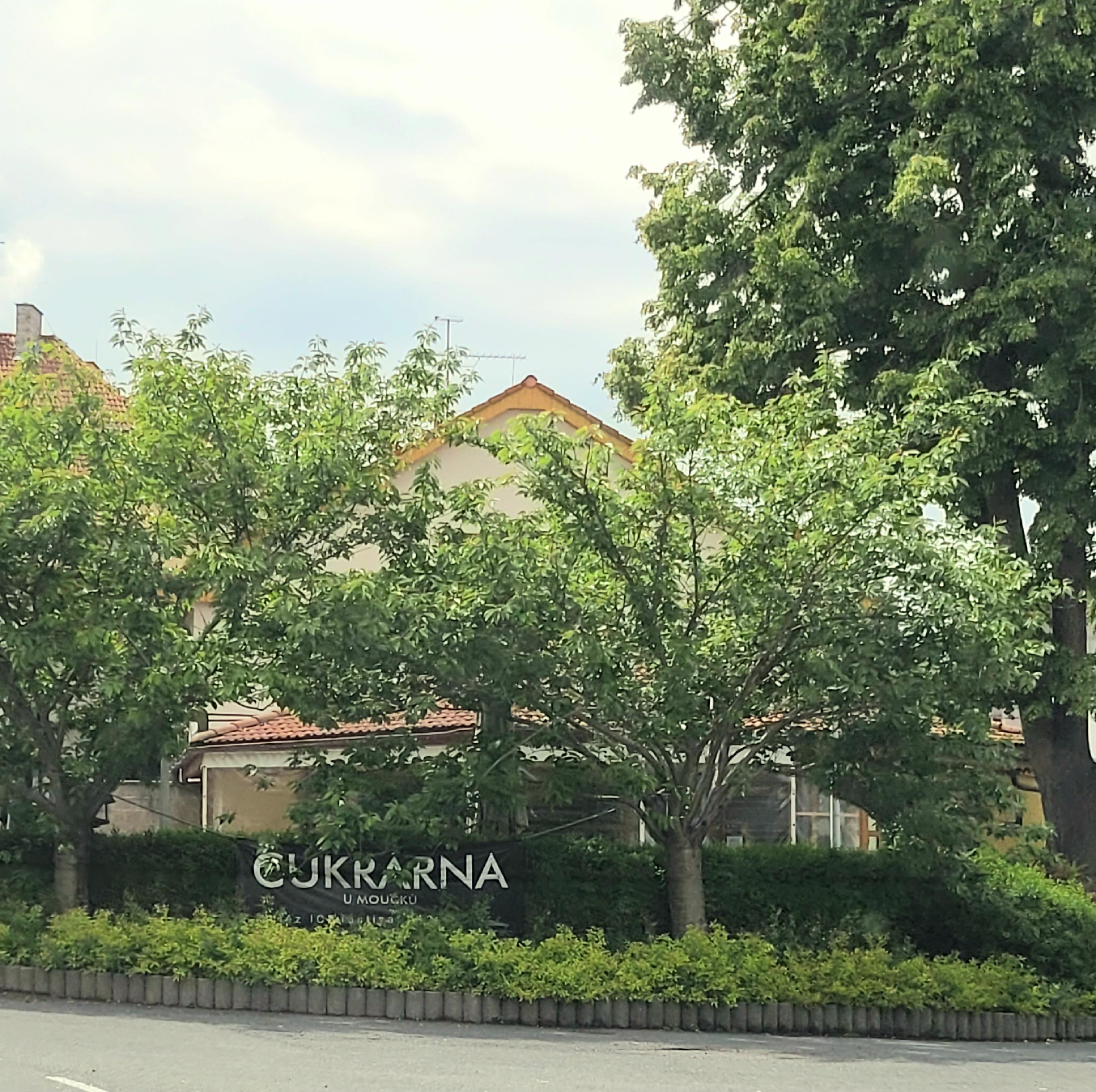 Cukrárna U Moučků foto 5