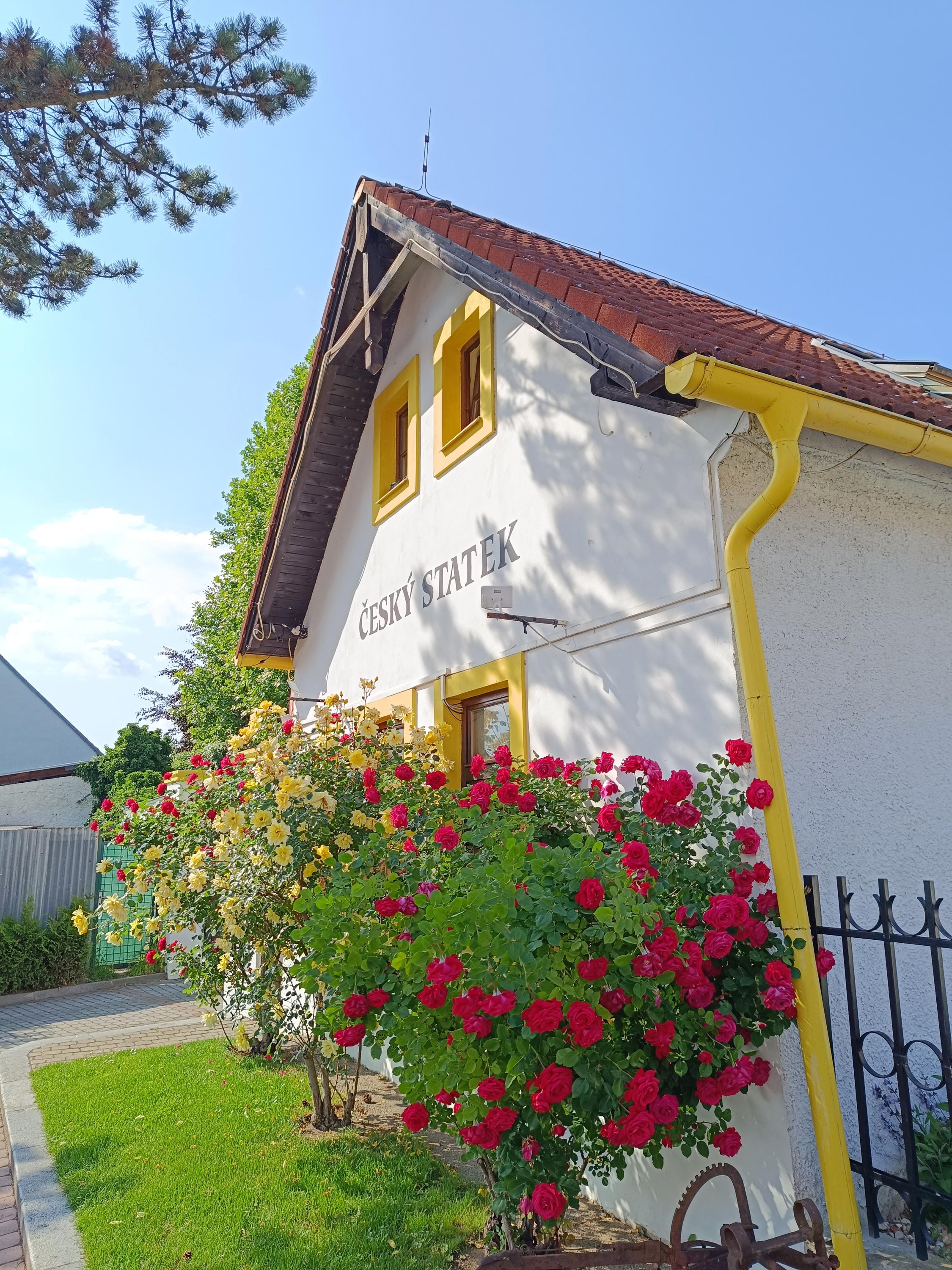 Restaurace Český statek foto 2