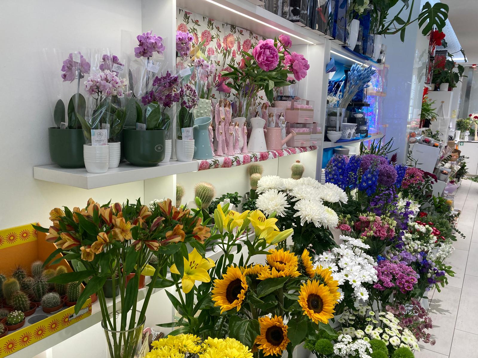 Květiny Novák foto 2