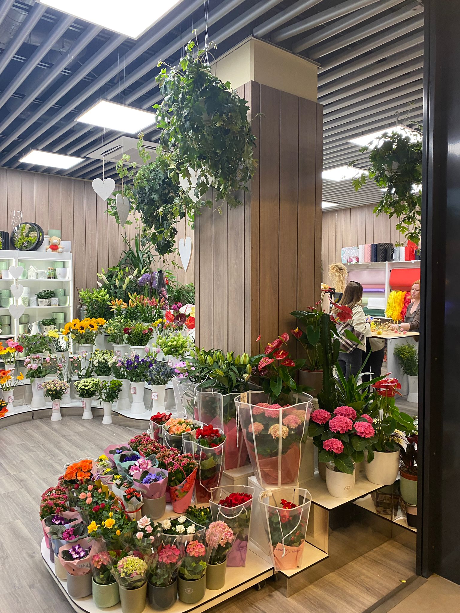 Květiny Novák foto 3