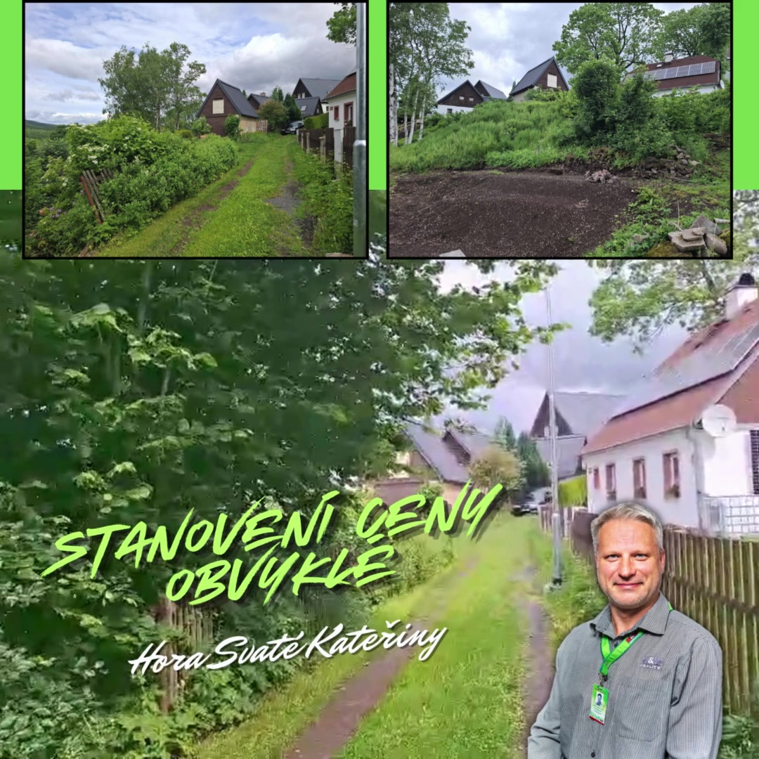 Petr Černohorský - Realitní makléř foto 2 (náhled videa)