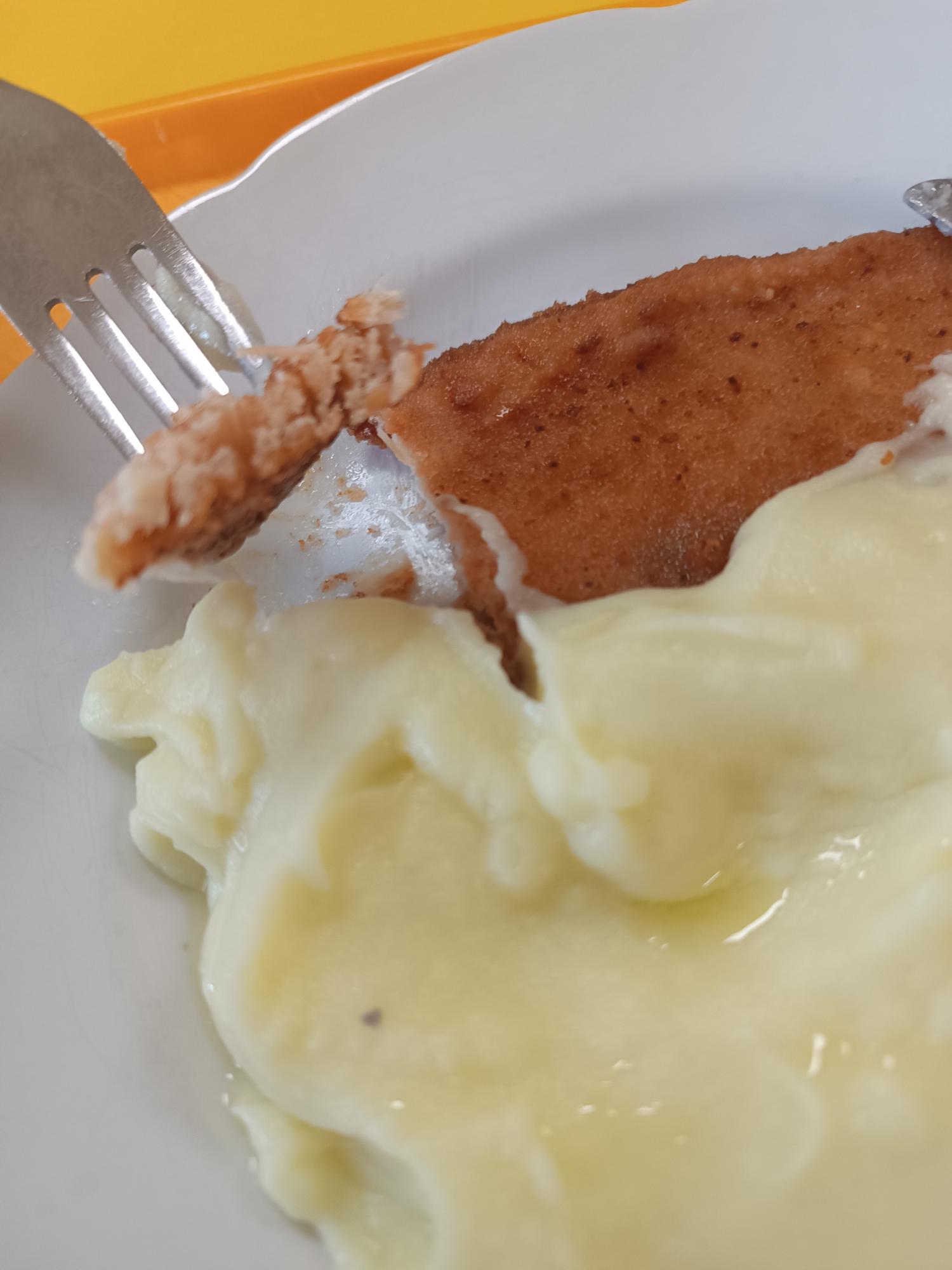 ZŠ Závodu Míru, Pardubice foto 5
