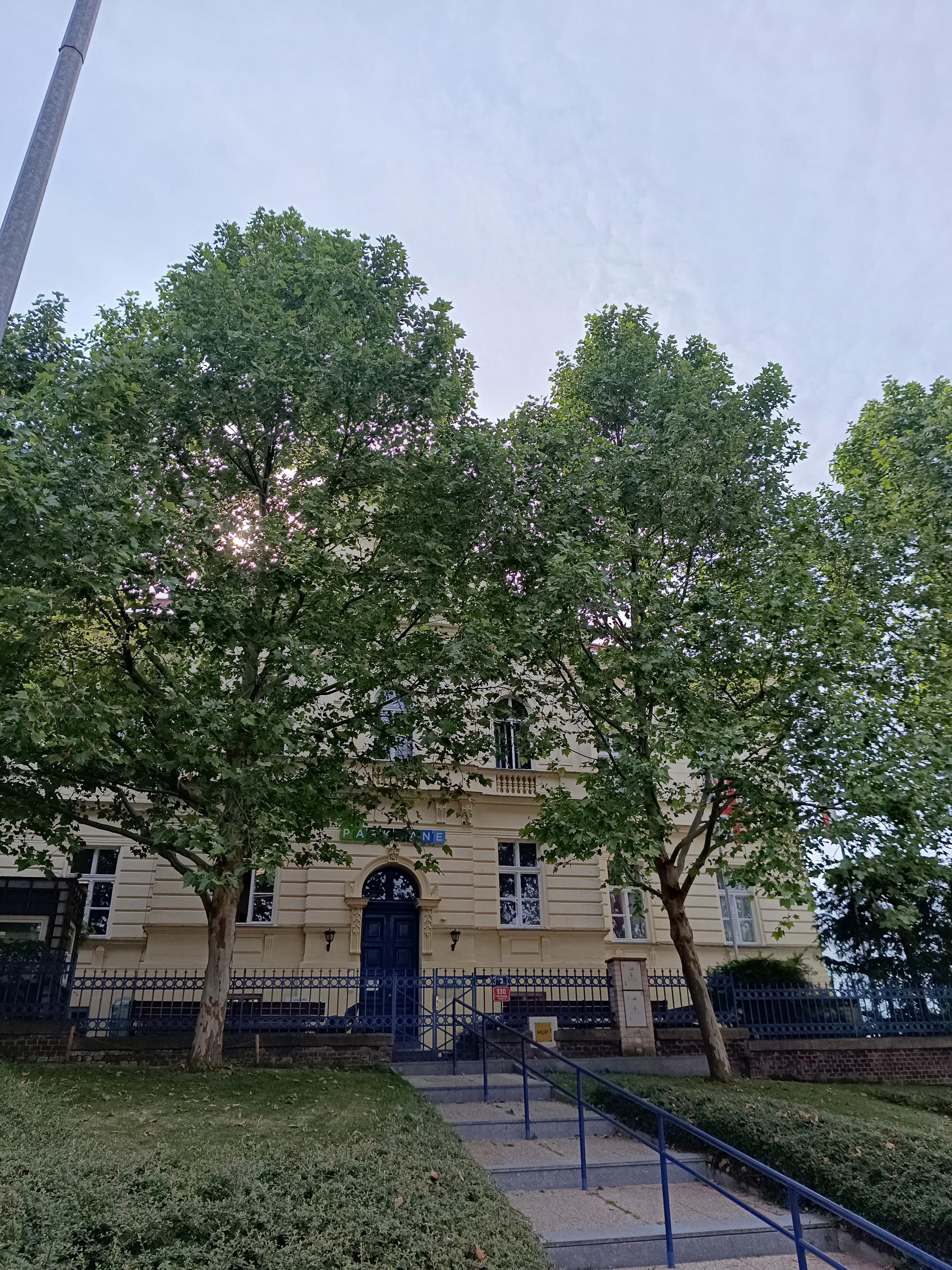 NESSIE- anglická školka foto 5