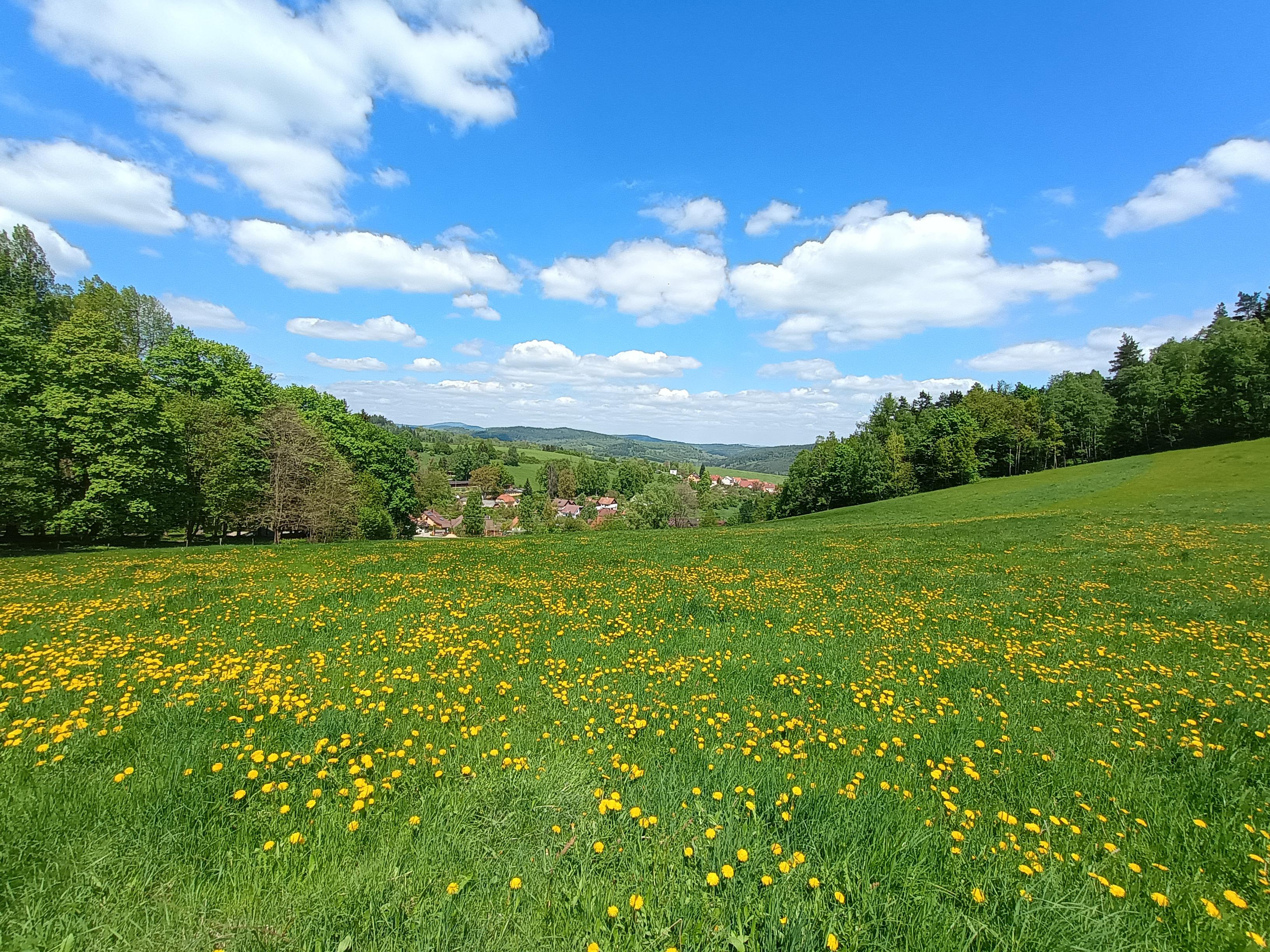 Pohádková rezervace foto 6