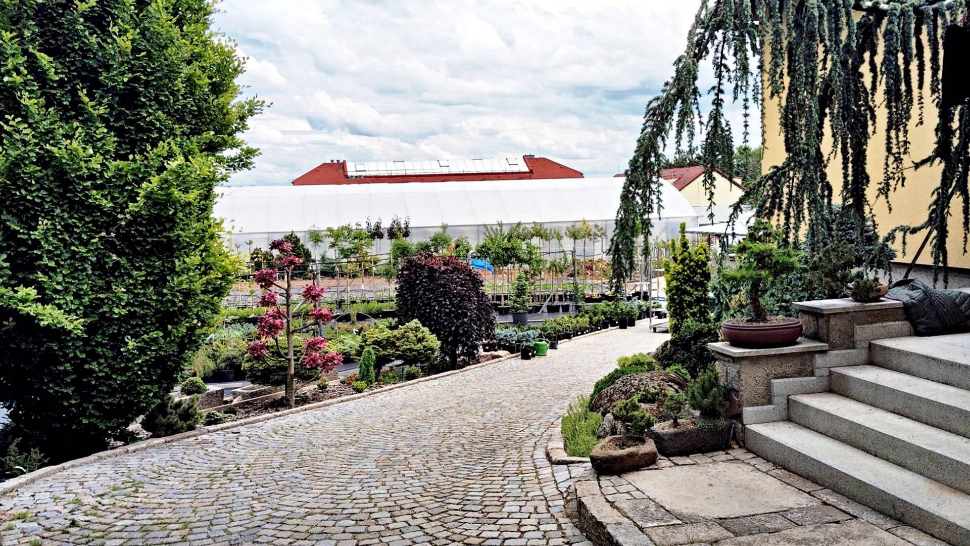 Zahradnictví v Kaštanech s.r.o. foto 5