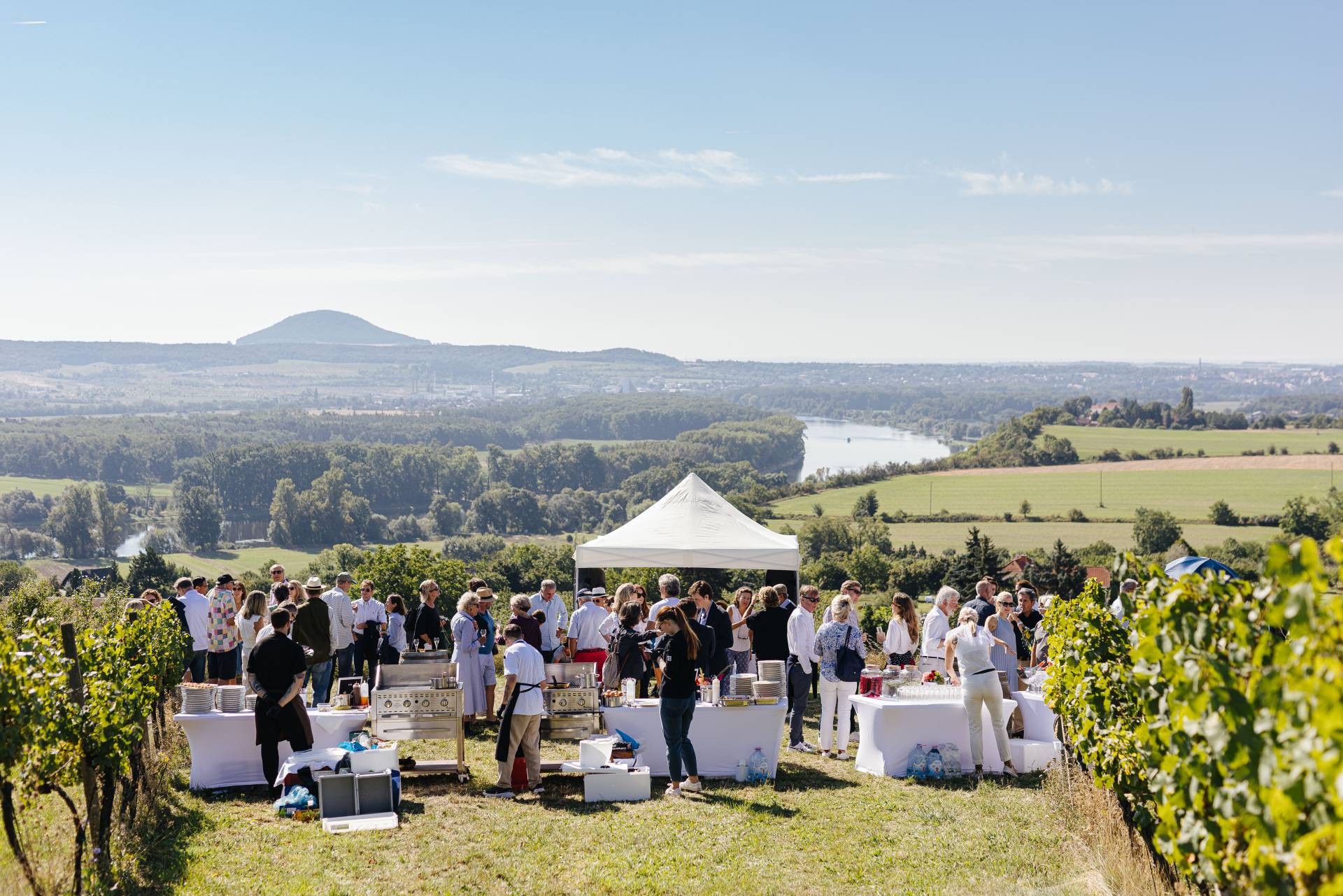 Pronájem Vinařství Zámek Lobkowicz Roudnice