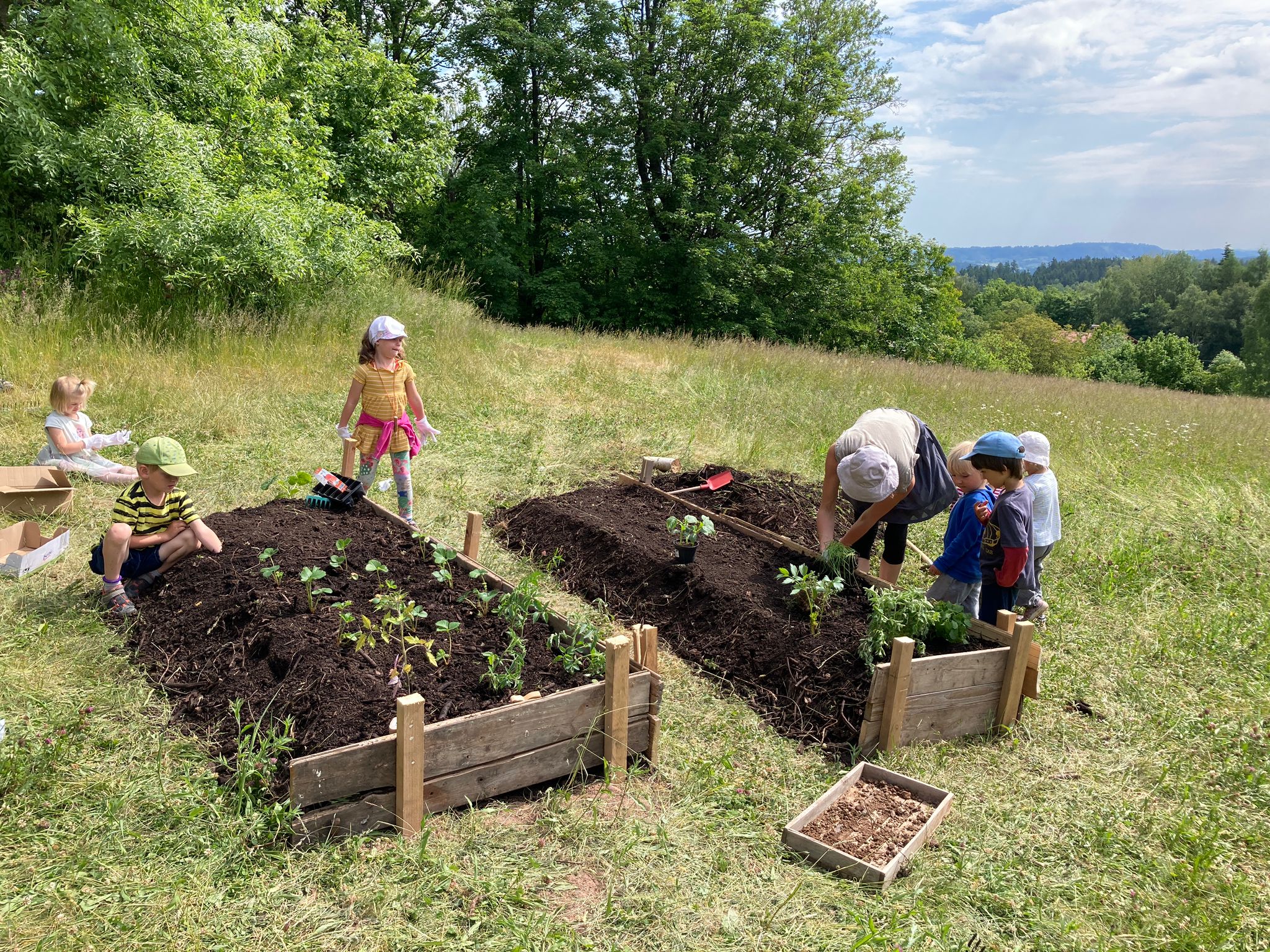 Dětský lesní klub HraLES foto 3