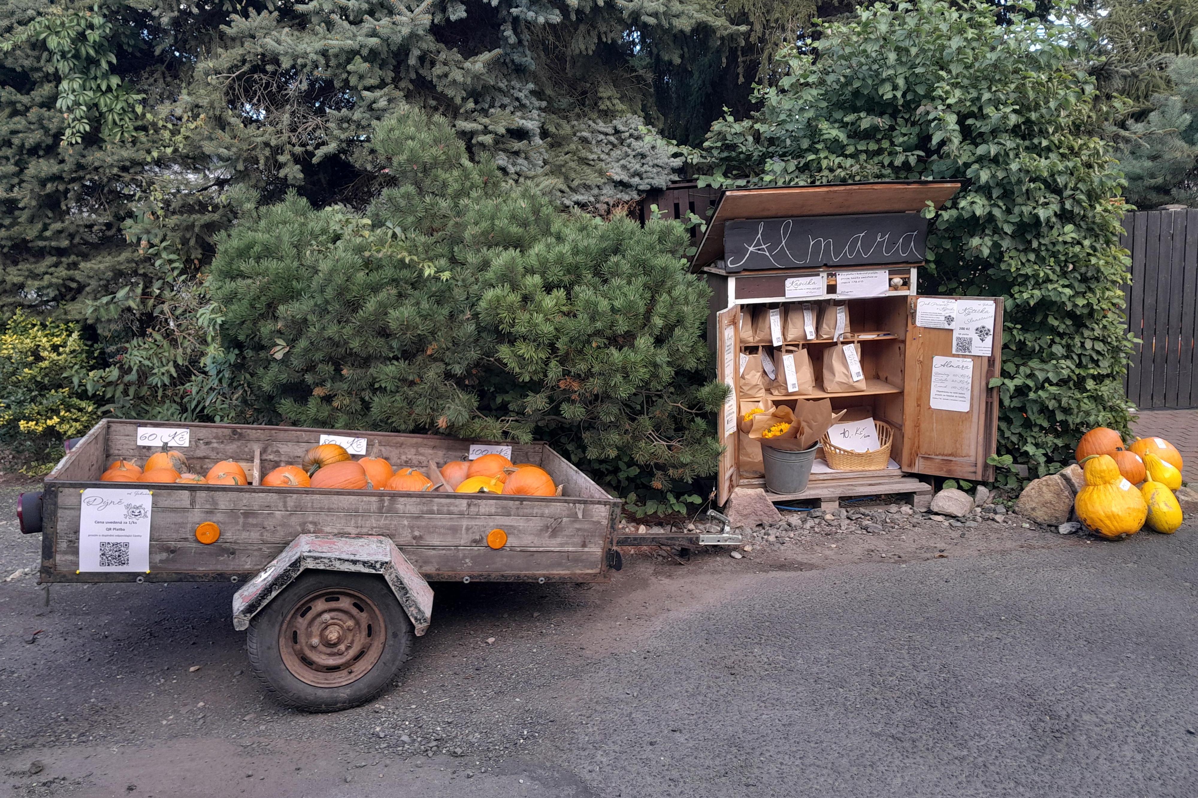 Almara od.Jakuba foto 1