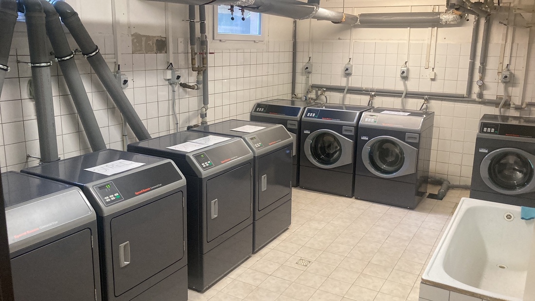 Sociální podnik Levandule