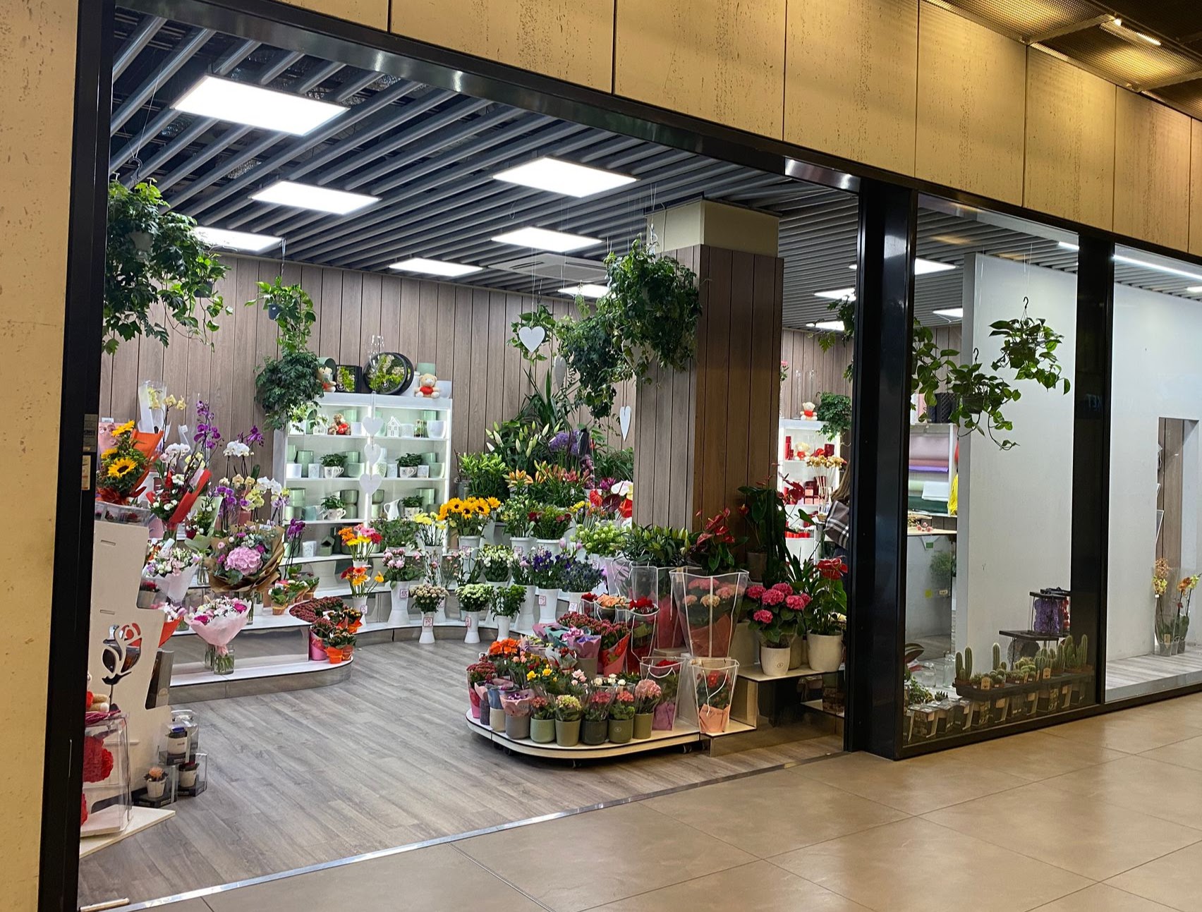 Květiny Novák foto 2