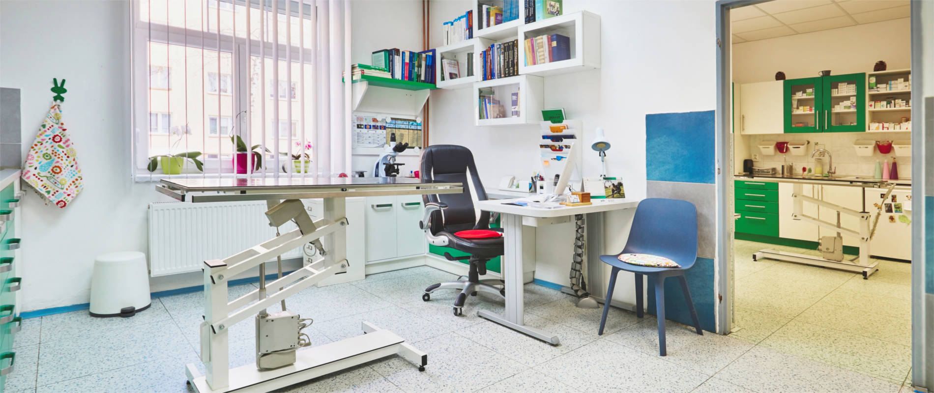 Veterinární ordinace Klatovy, s.r.o. foto 4