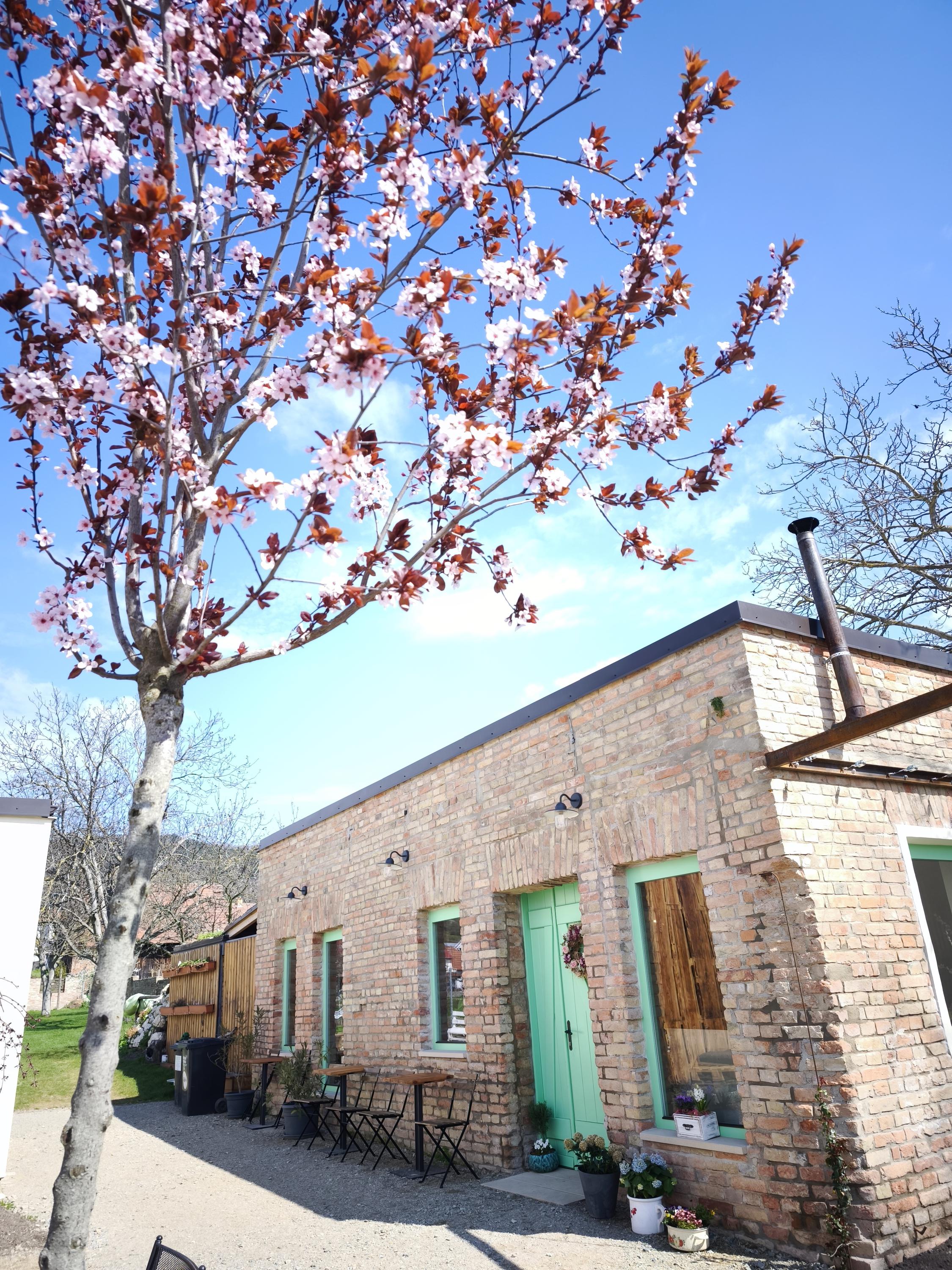 Kavárna a vinný bar Na zahradě