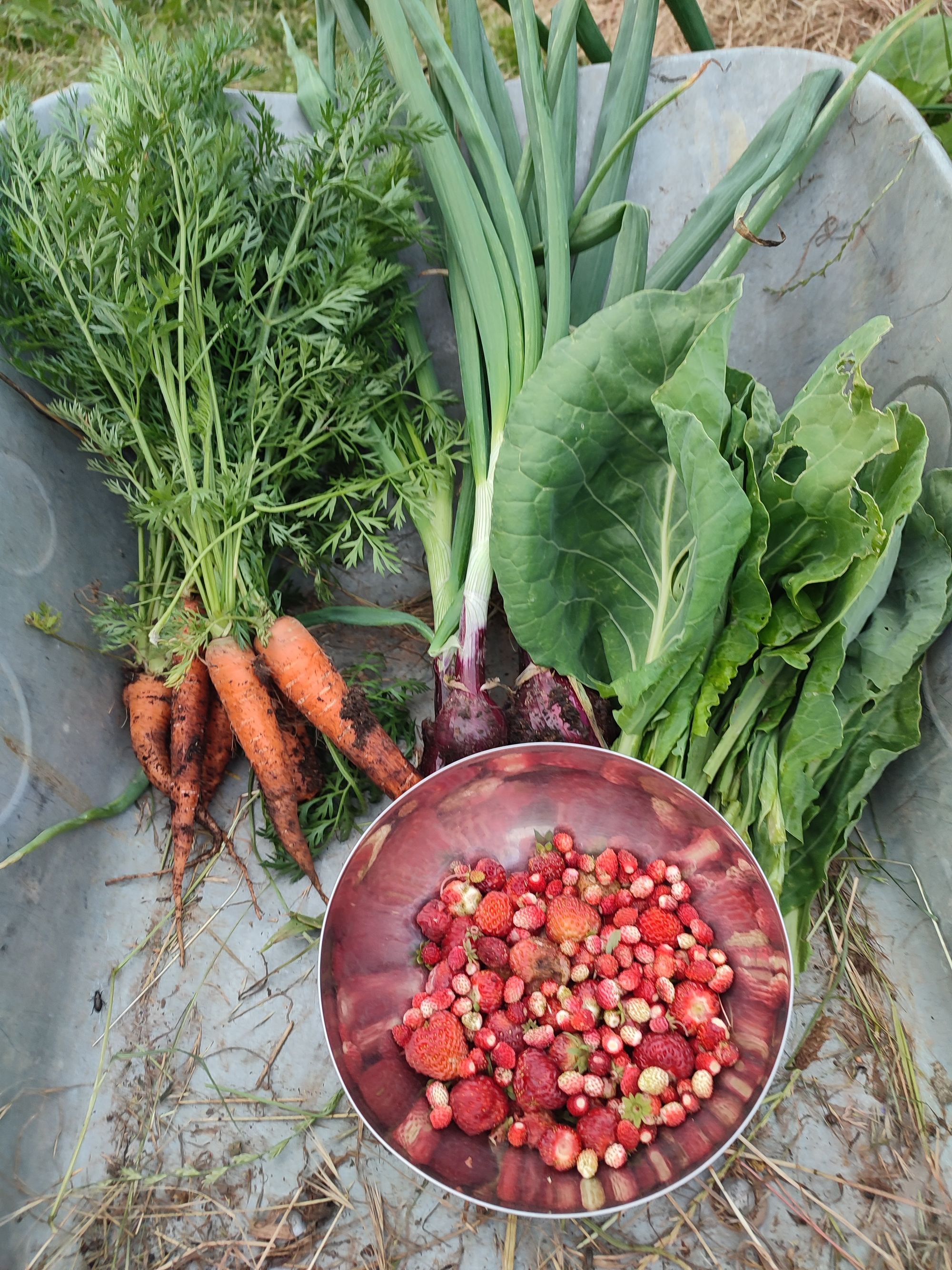 Přírodní zahrada Lila foto 3