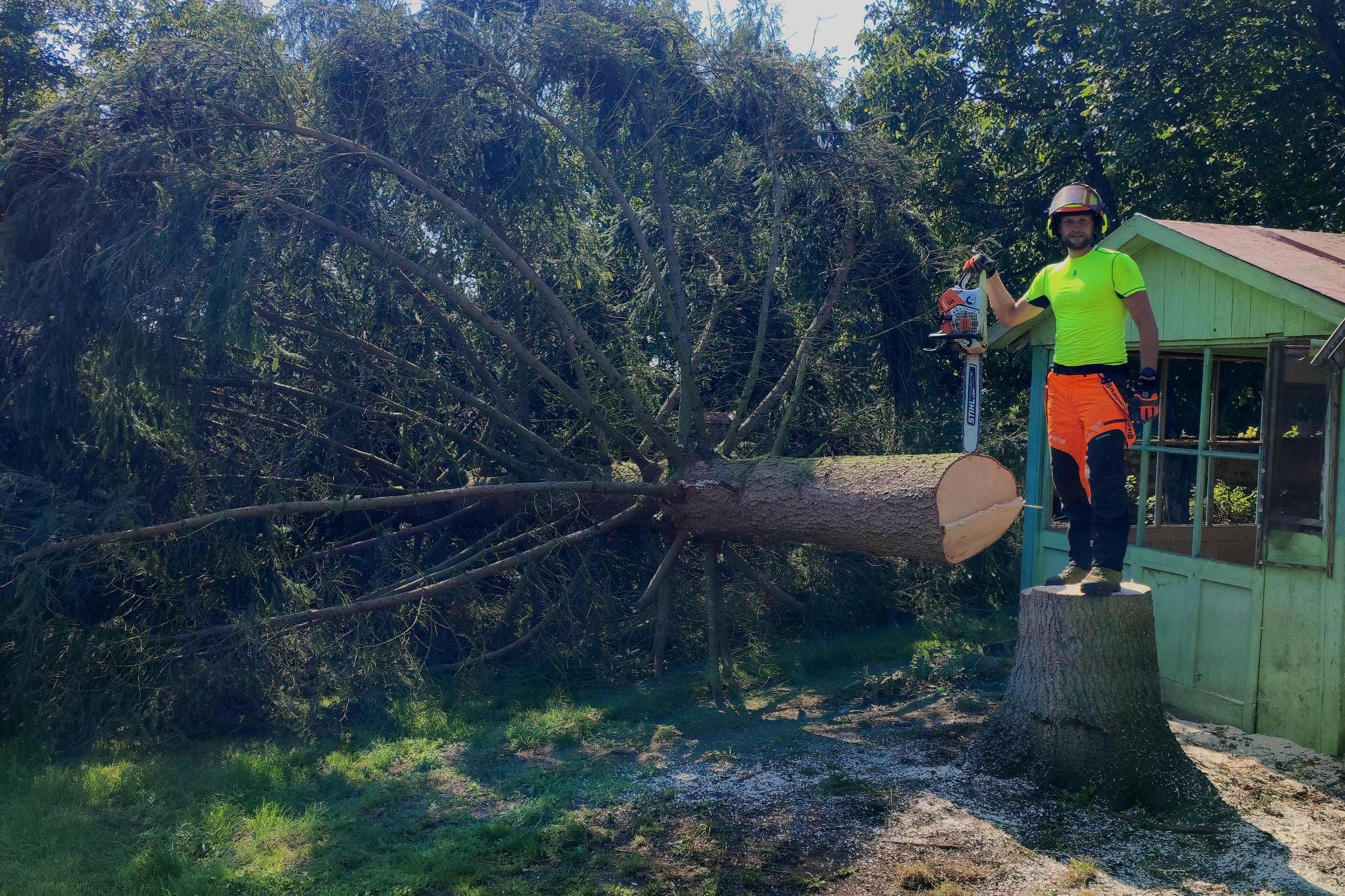 RKV Rizikové Kácení Vychodil foto 1