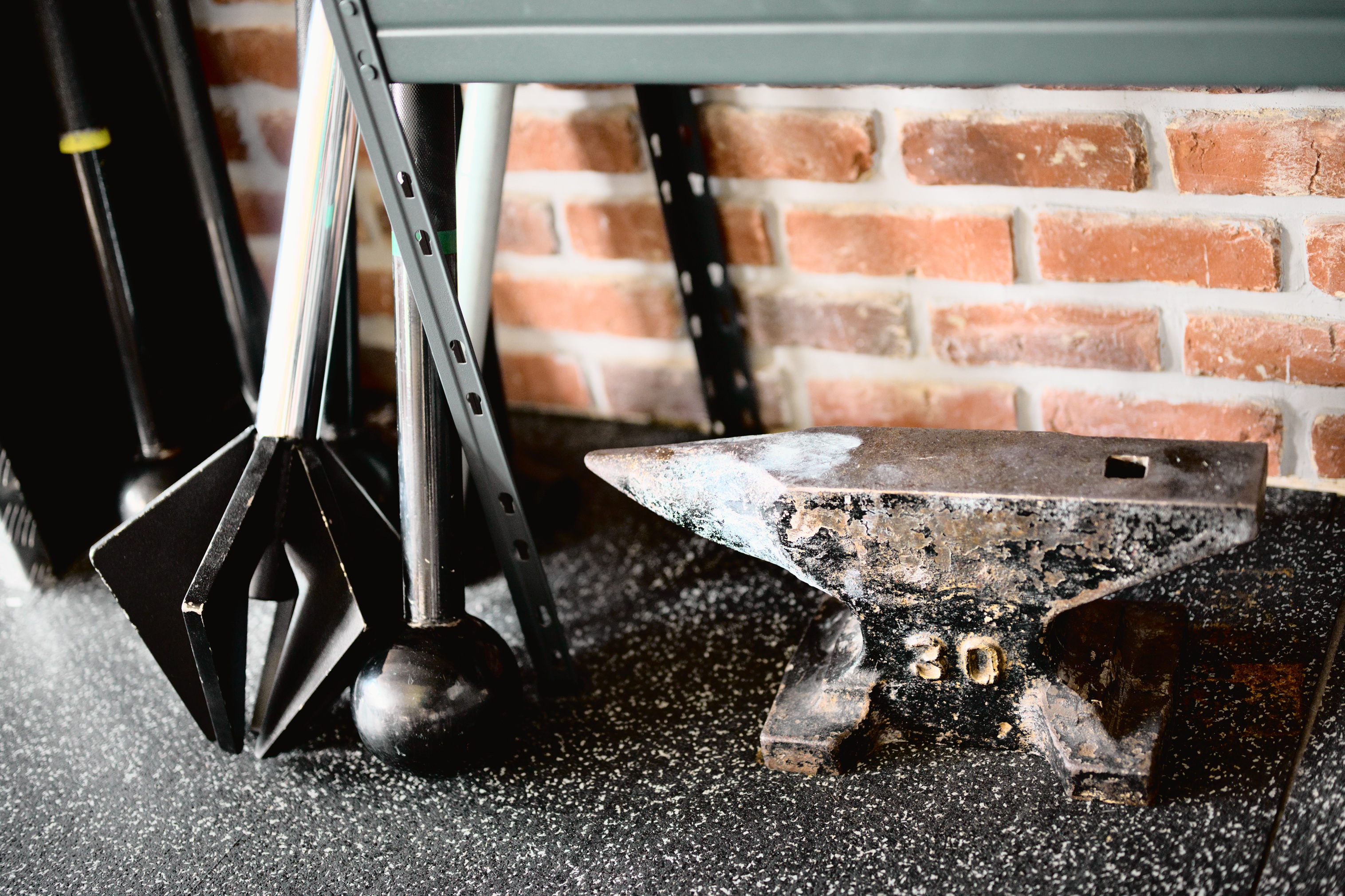 Bearrrfield – Primal Fitness Academy foto 3