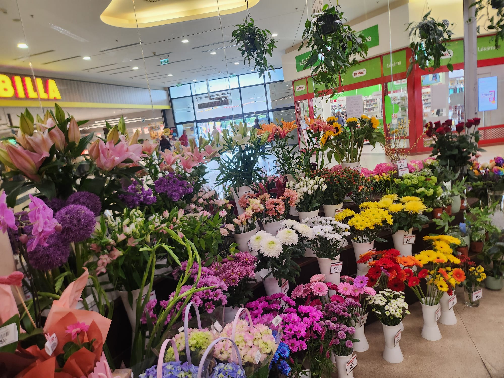 Květiny Novák foto 2