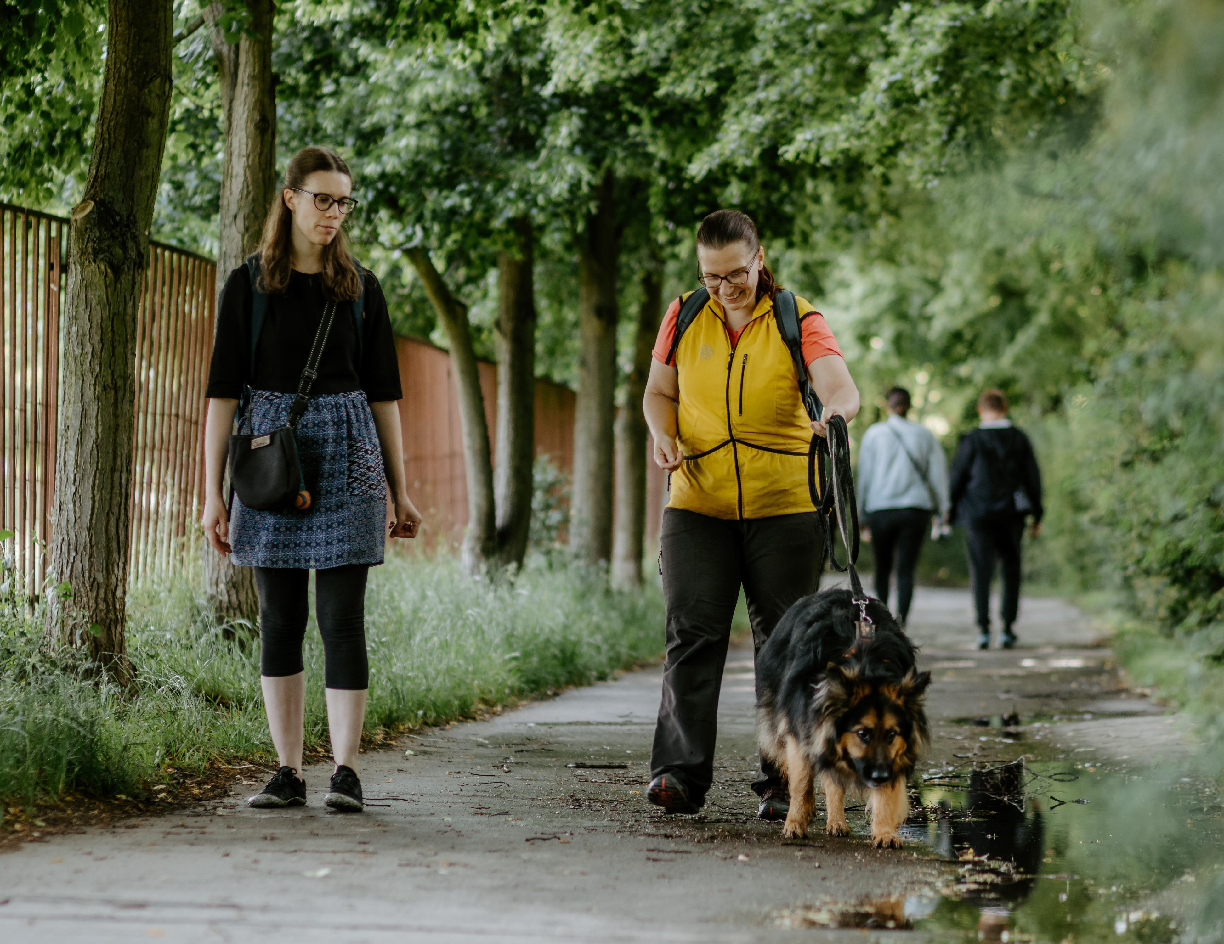 ASURIA - etický trénink psů foto 2