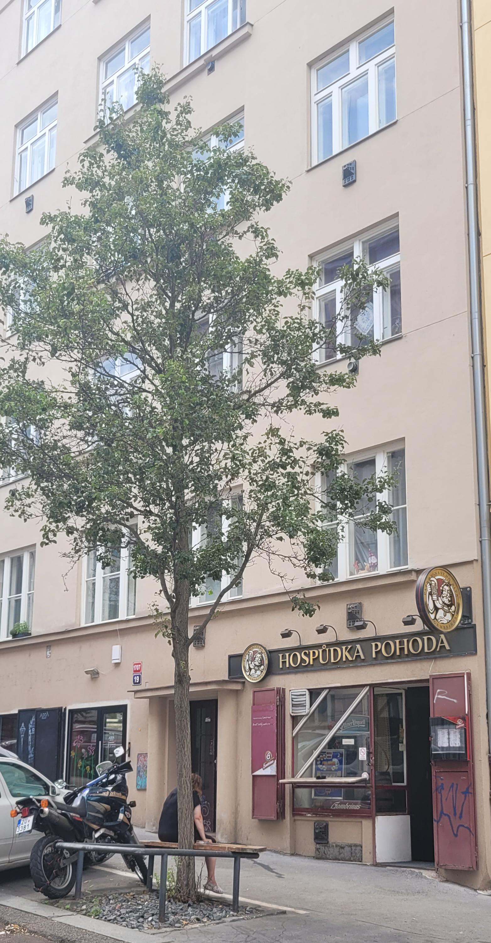 Hospůdka Pohoda foto 3