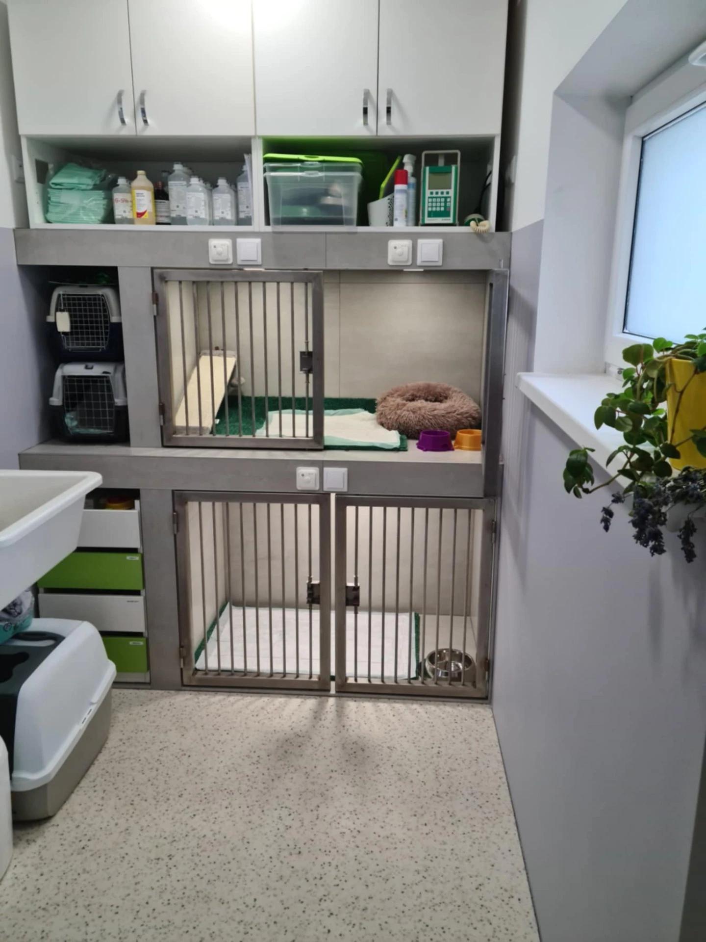 Veterinární ordinace DARELI - MVDr. Eliška Divišová foto 3