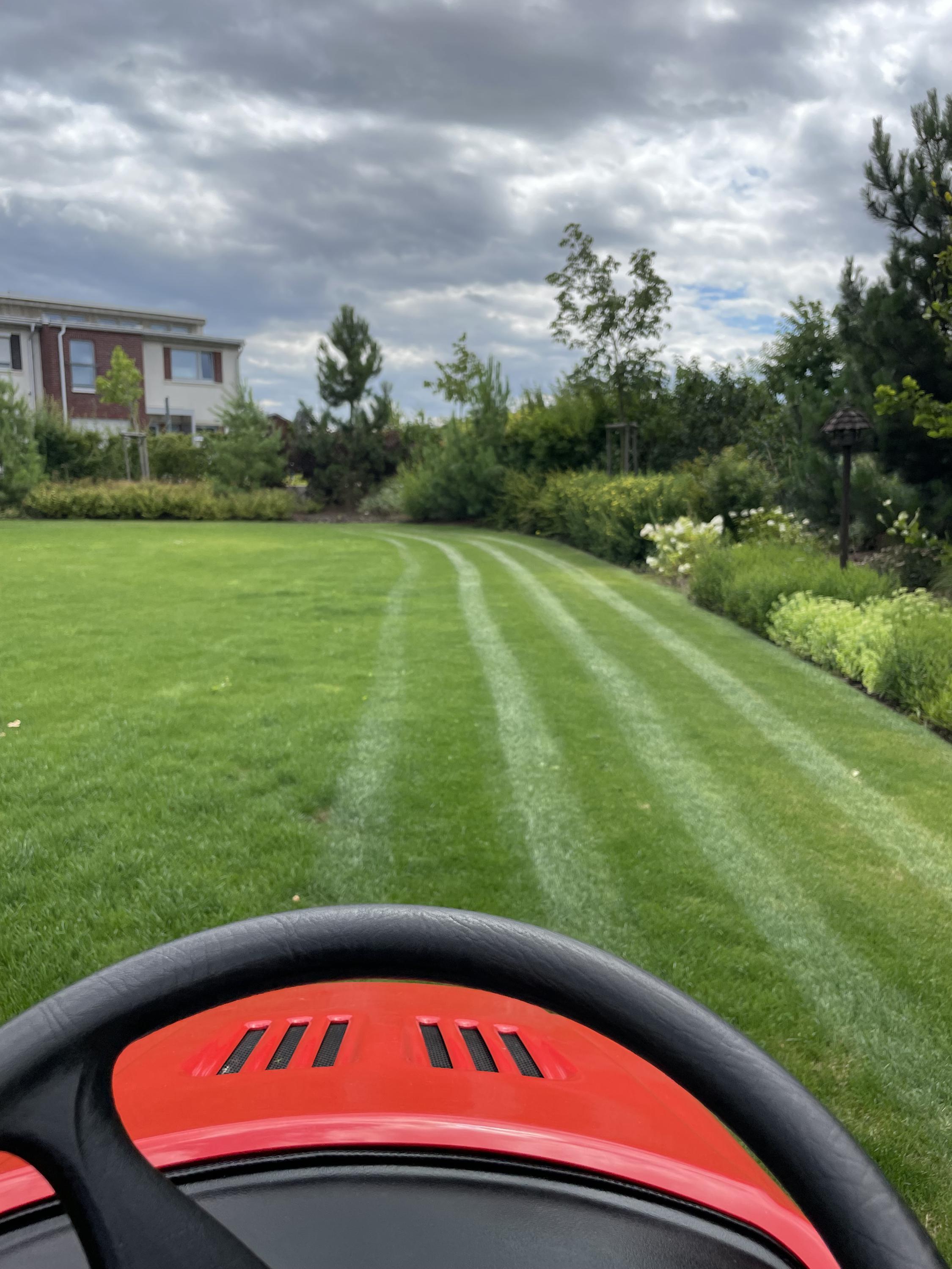 Realizace a údržba zahrad Marek Novák foto 3