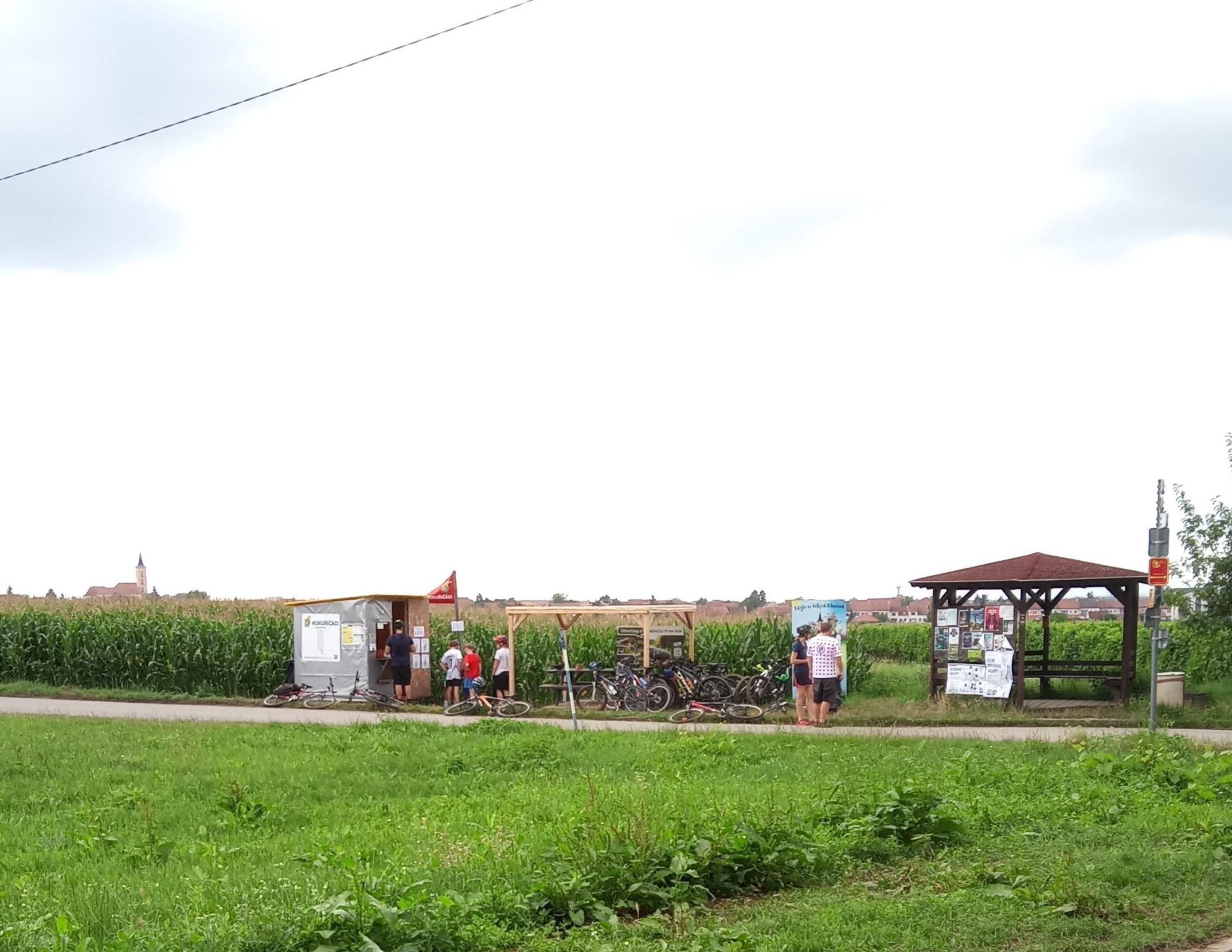 Kukuřičáci – Obří kukuřičné bludiště Velké Bílovice foto 5