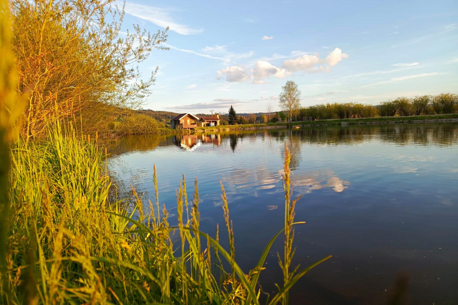 Prodej živých ryb nabídka k 01.04.2026