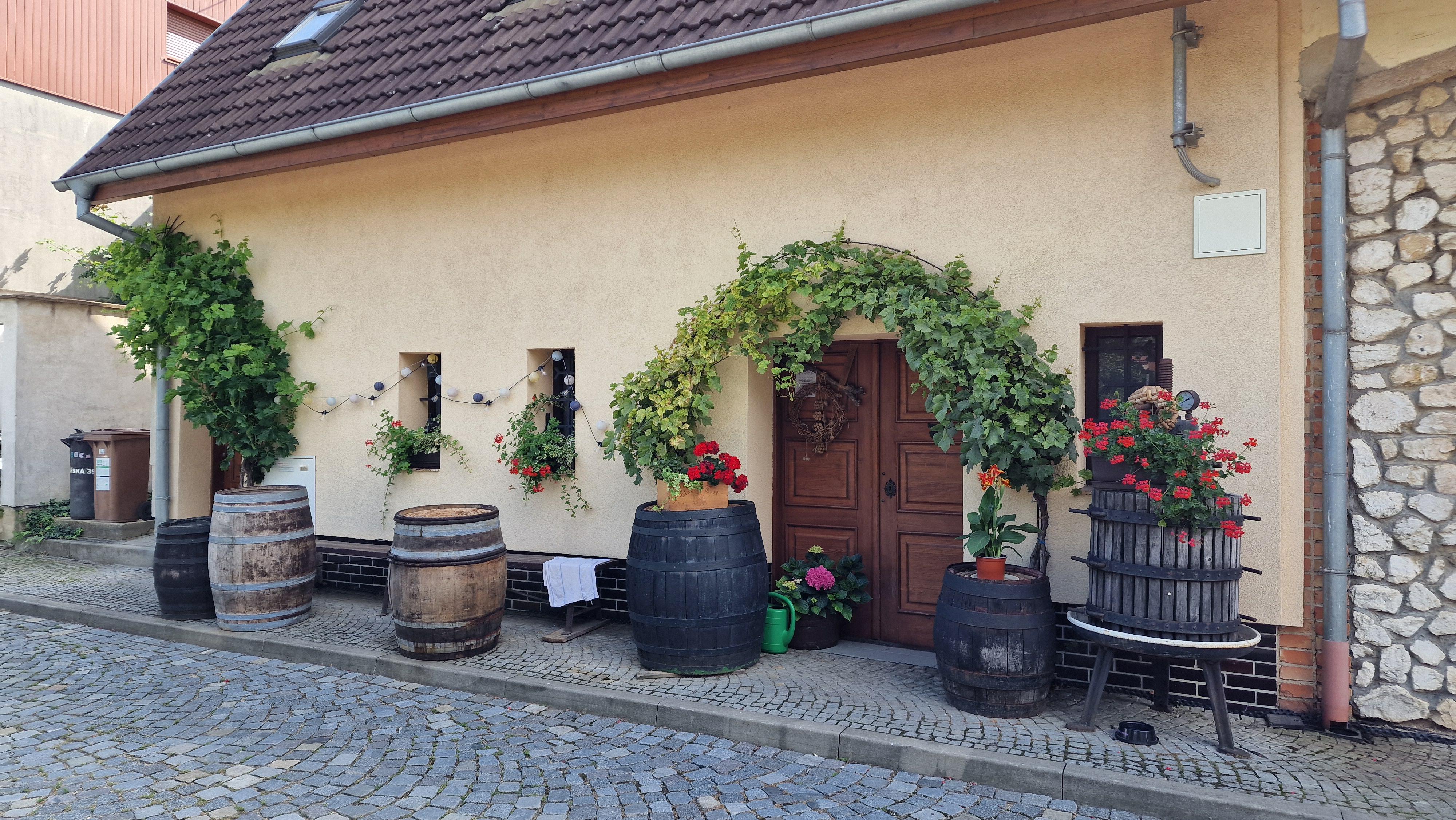Vinařství Kunc - Kunc Vinum foto 5