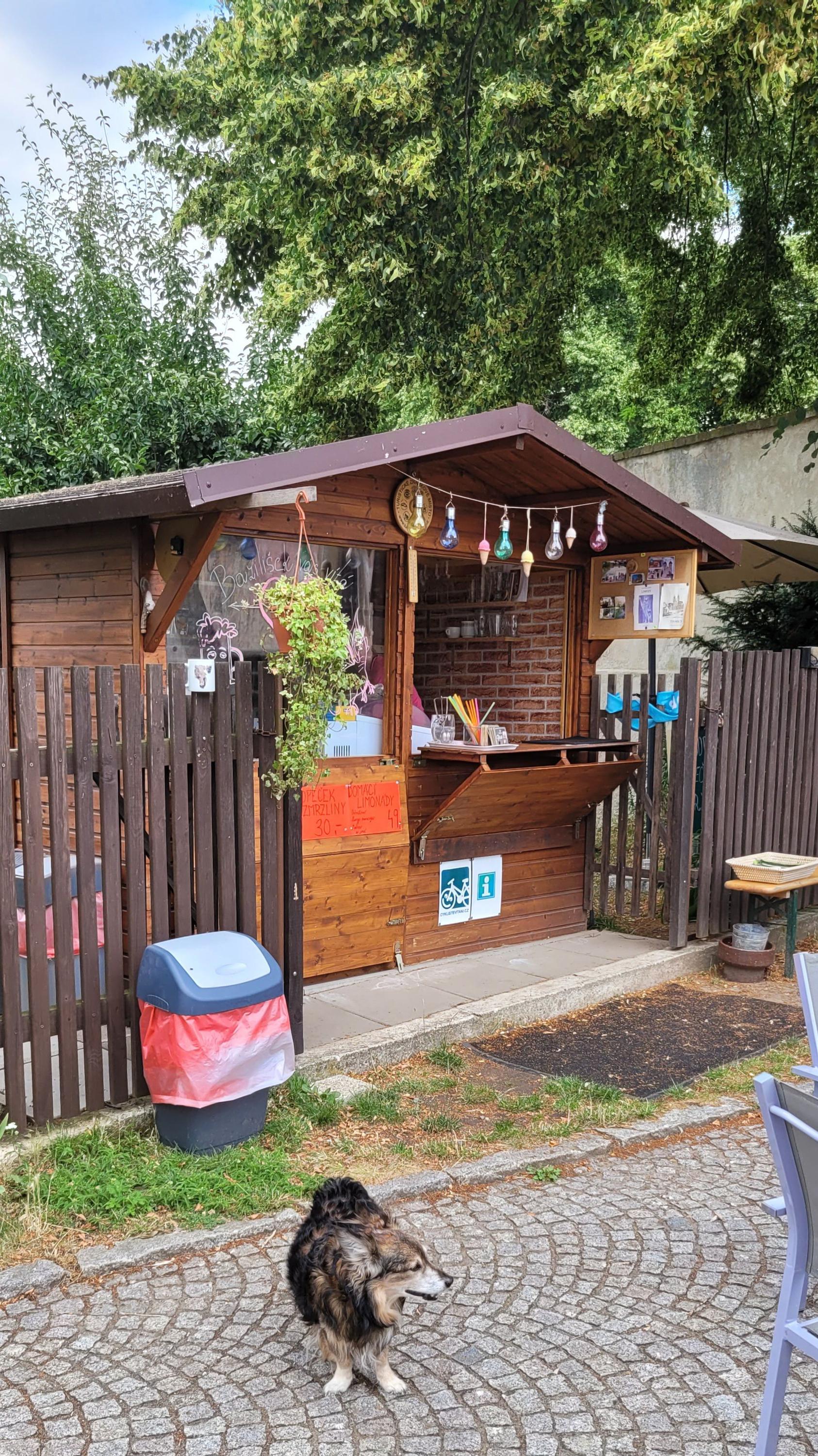 Občerstvení u baziliky foto 2