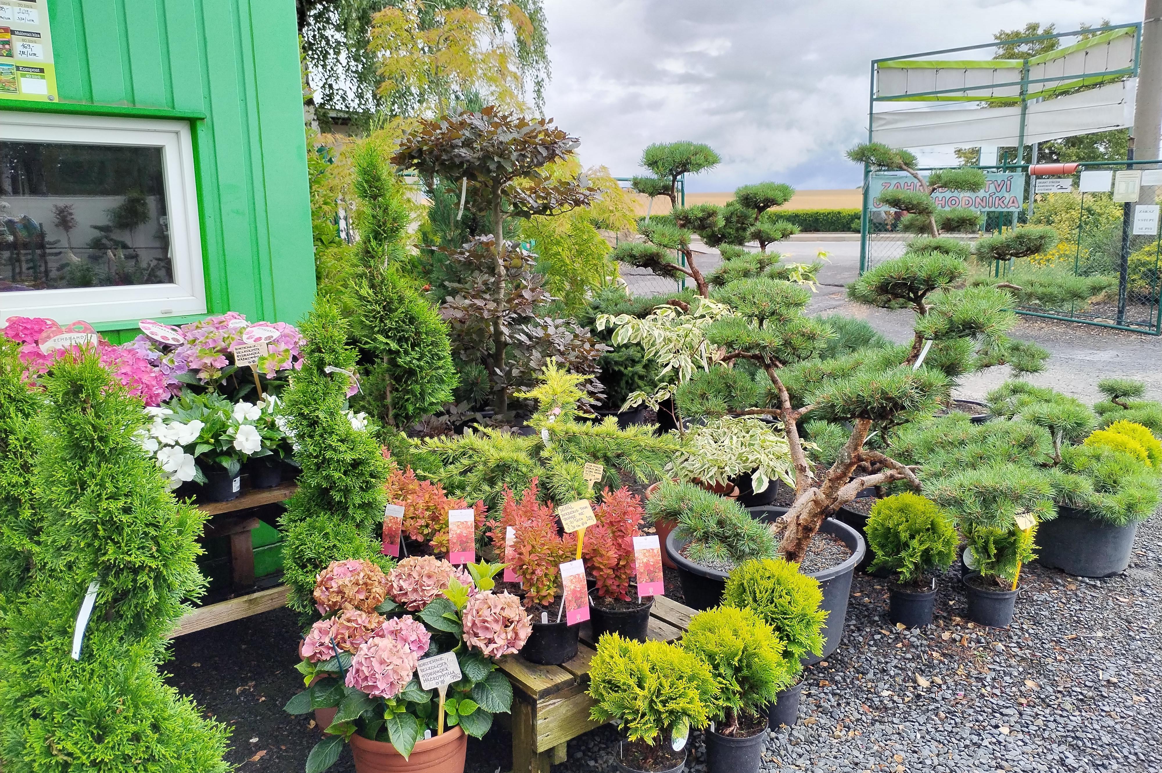 Zahradnictví u rozchodníka, spol. s r.o. foto 1