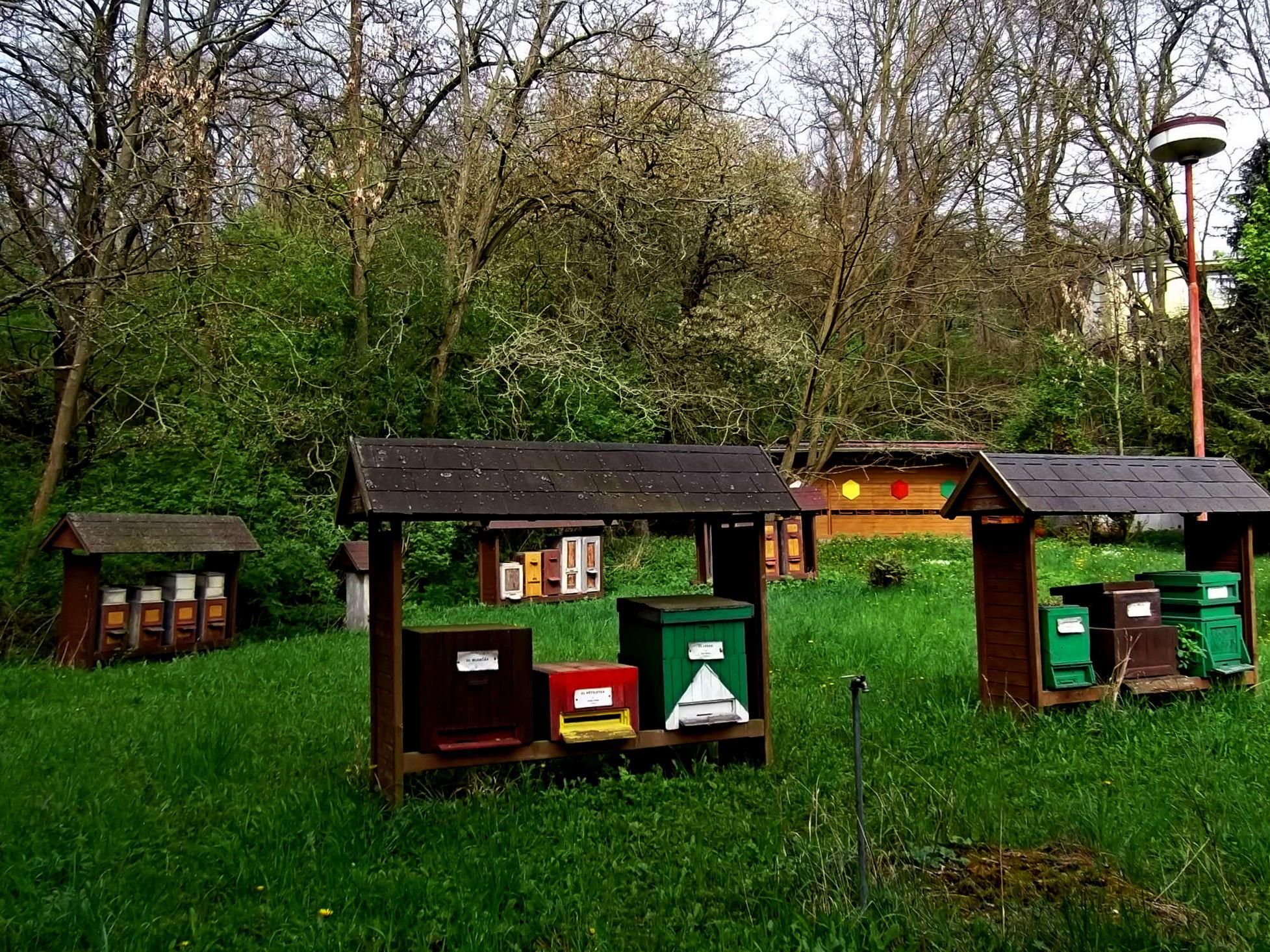 Včelařské muzeum foto 2