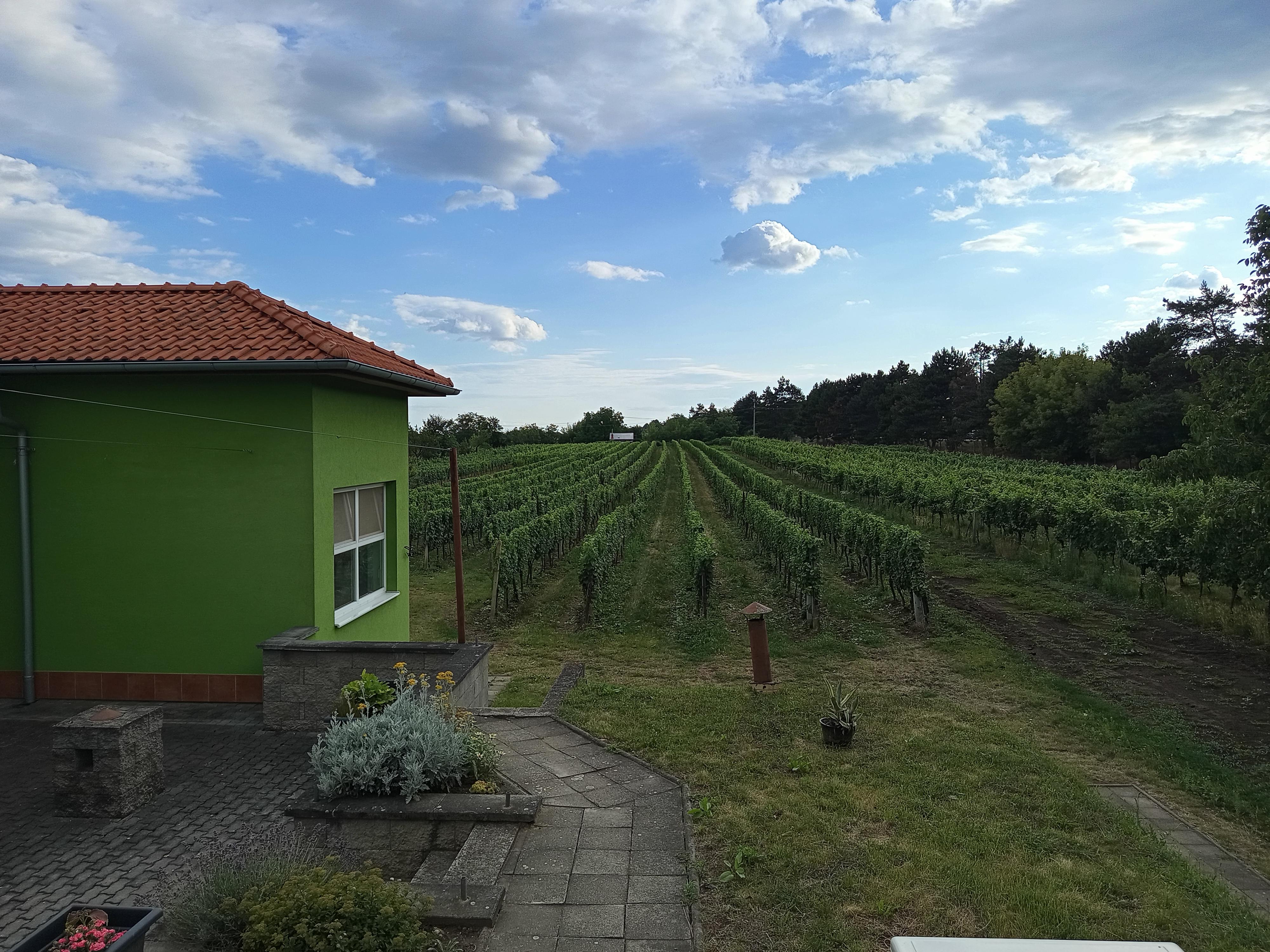 Penzion Vinařství Maláník-Osička foto 3