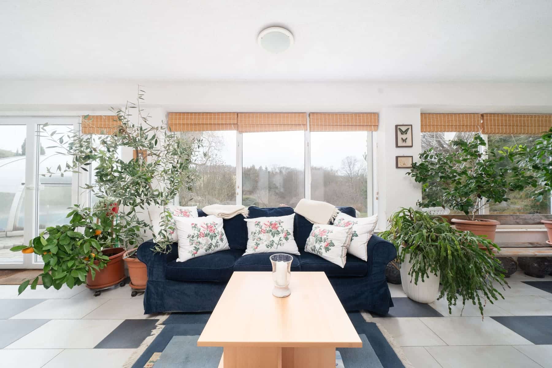 Petr Macholán - Realitní makléř foto 4