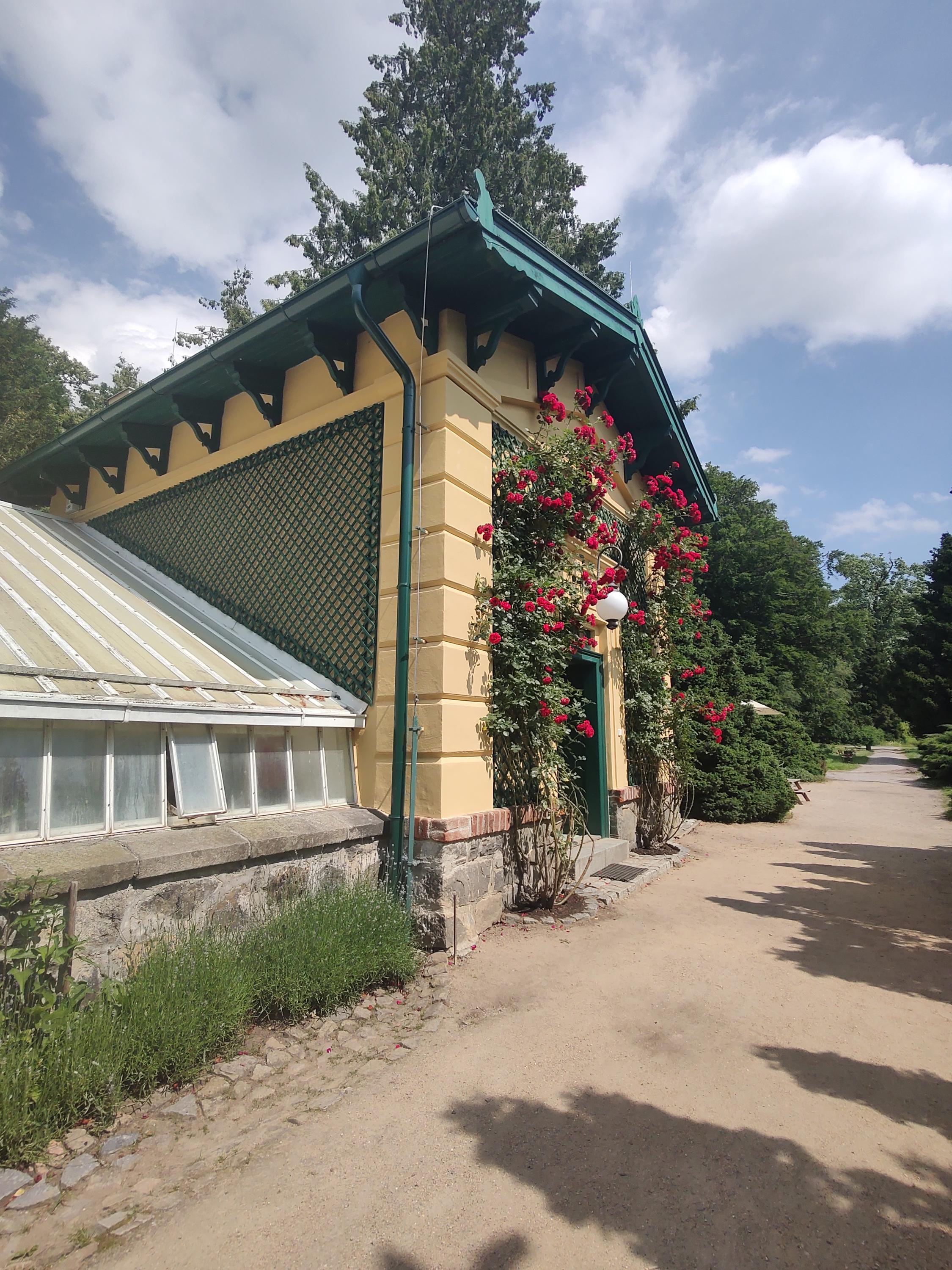 Růžová Kavárna foto 3