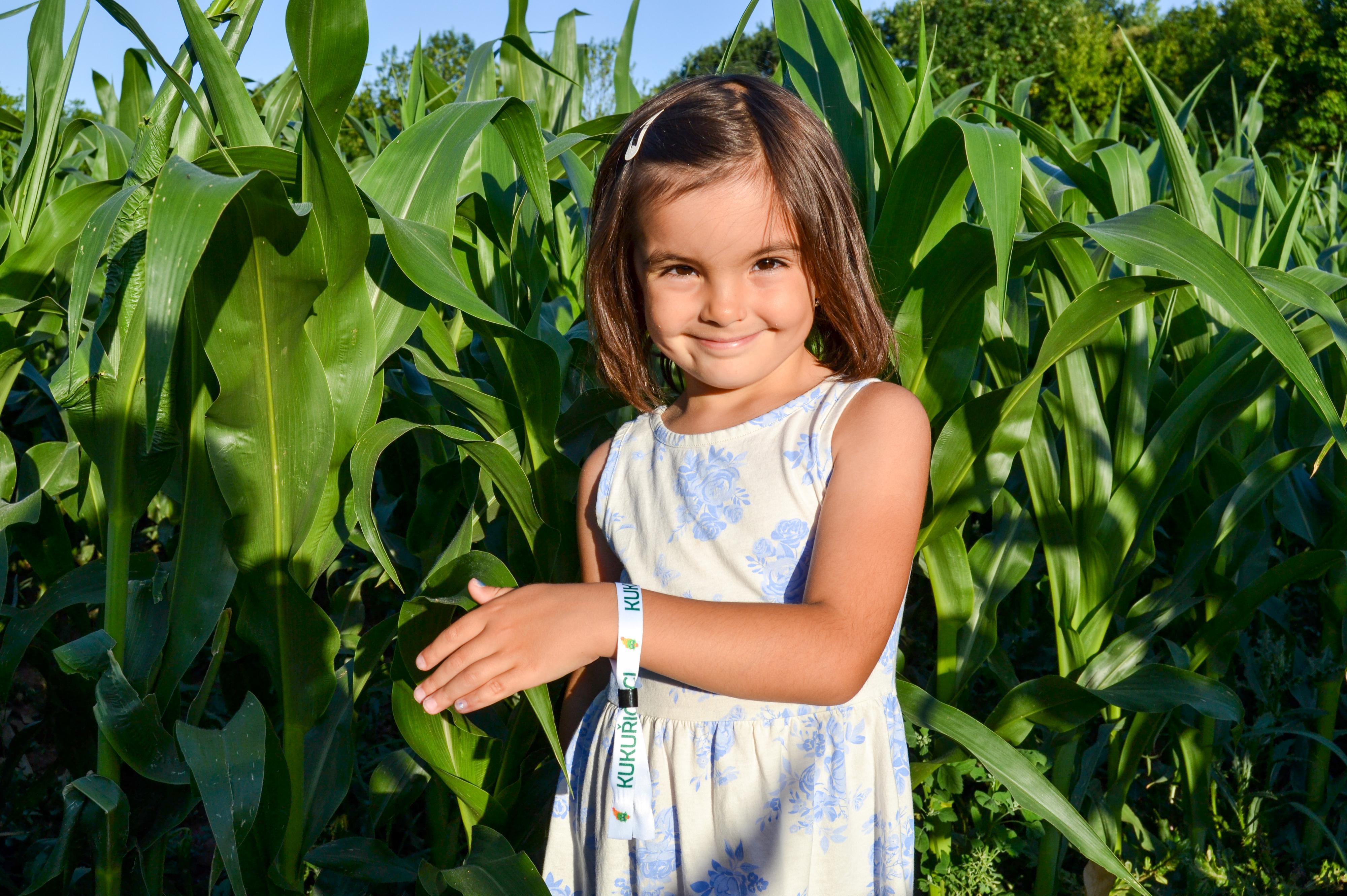 Kukuřičáci – Obří kukuřičné bludiště Humpolec