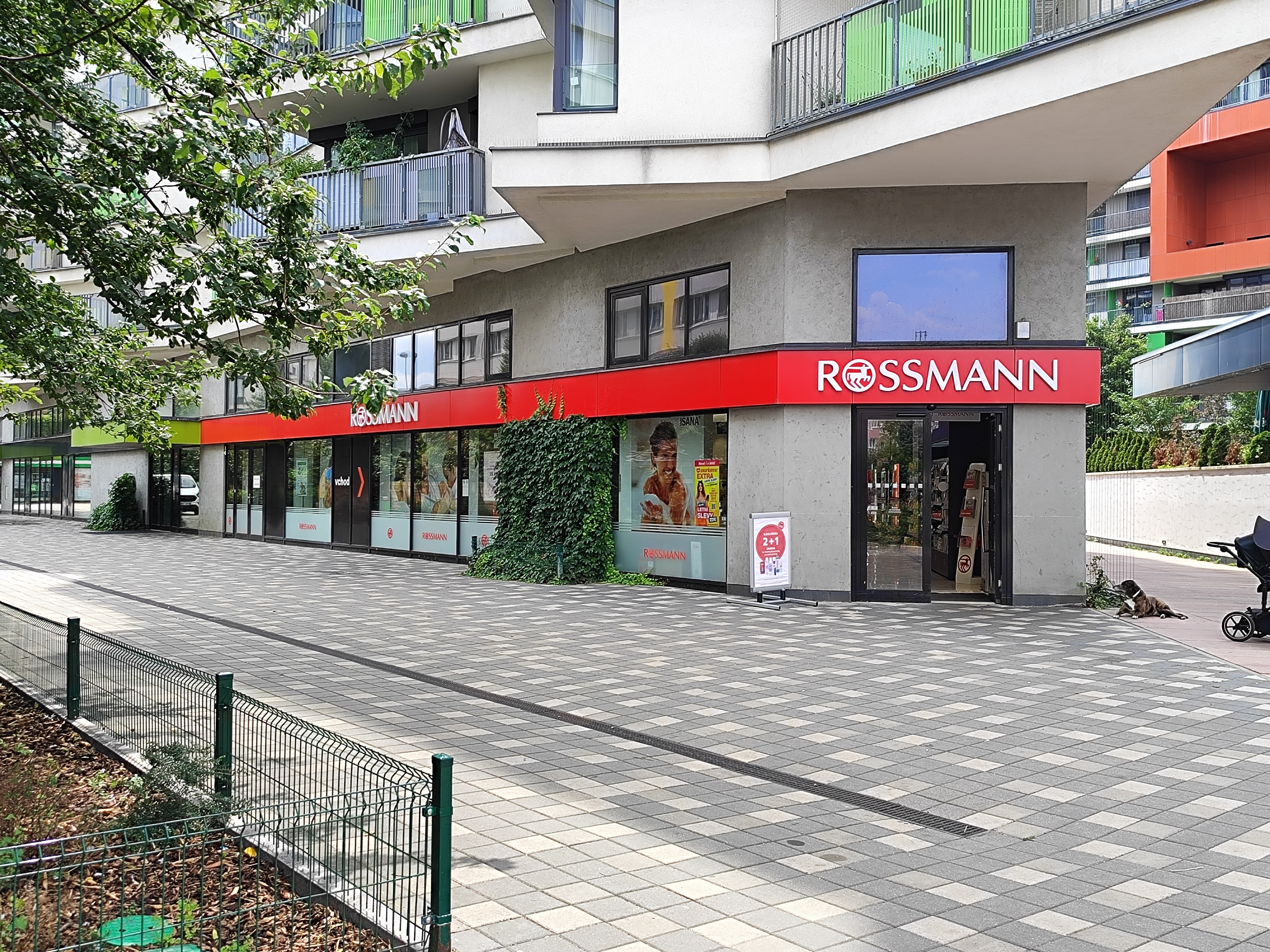 ROSSMANN foto 4